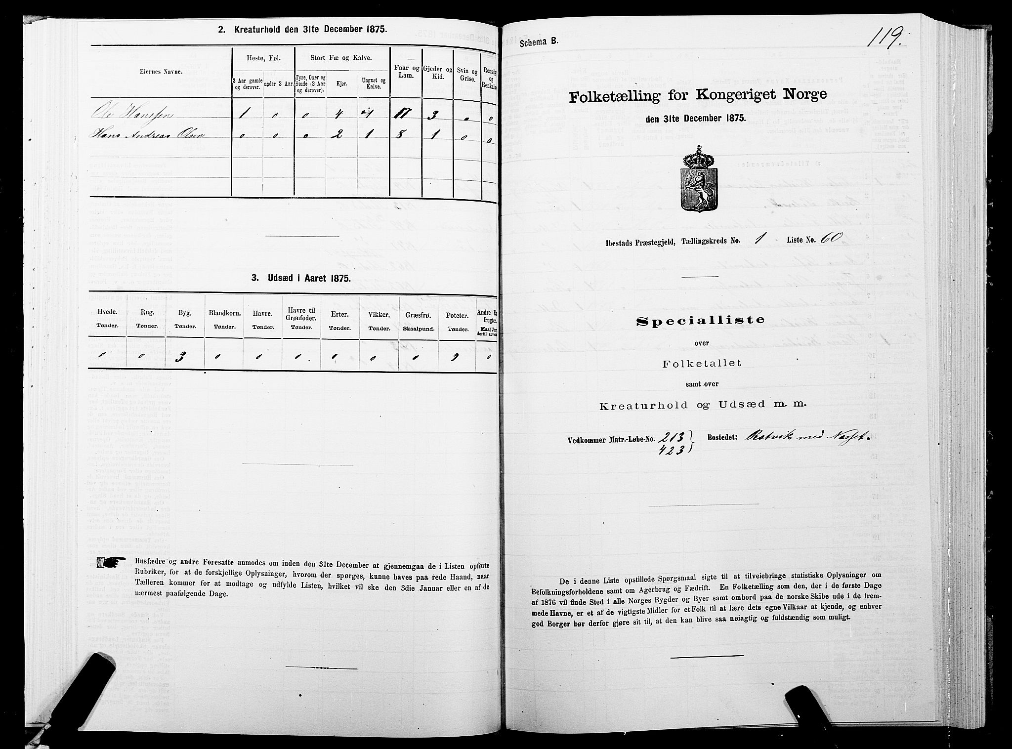 SATØ, 1875 census for 1917P Ibestad, 1875, p. 1119