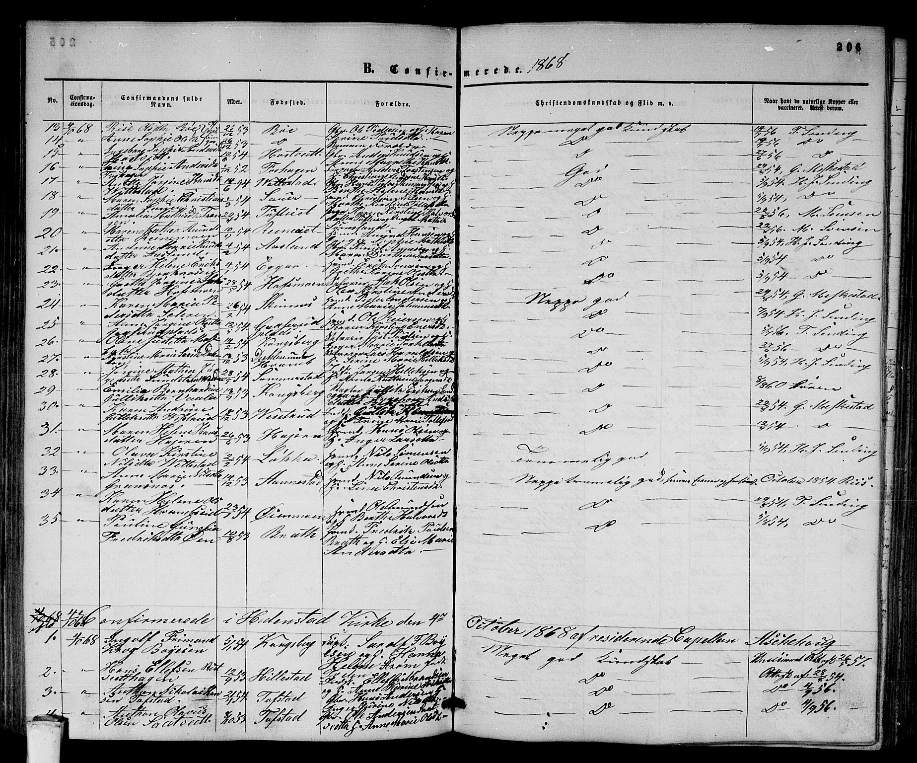 Sandsvær kirkebøker, AV/SAKO-A-244/G/Ga/L0005: Parish register (copy) no. I 5, 1857-1873, p. 206