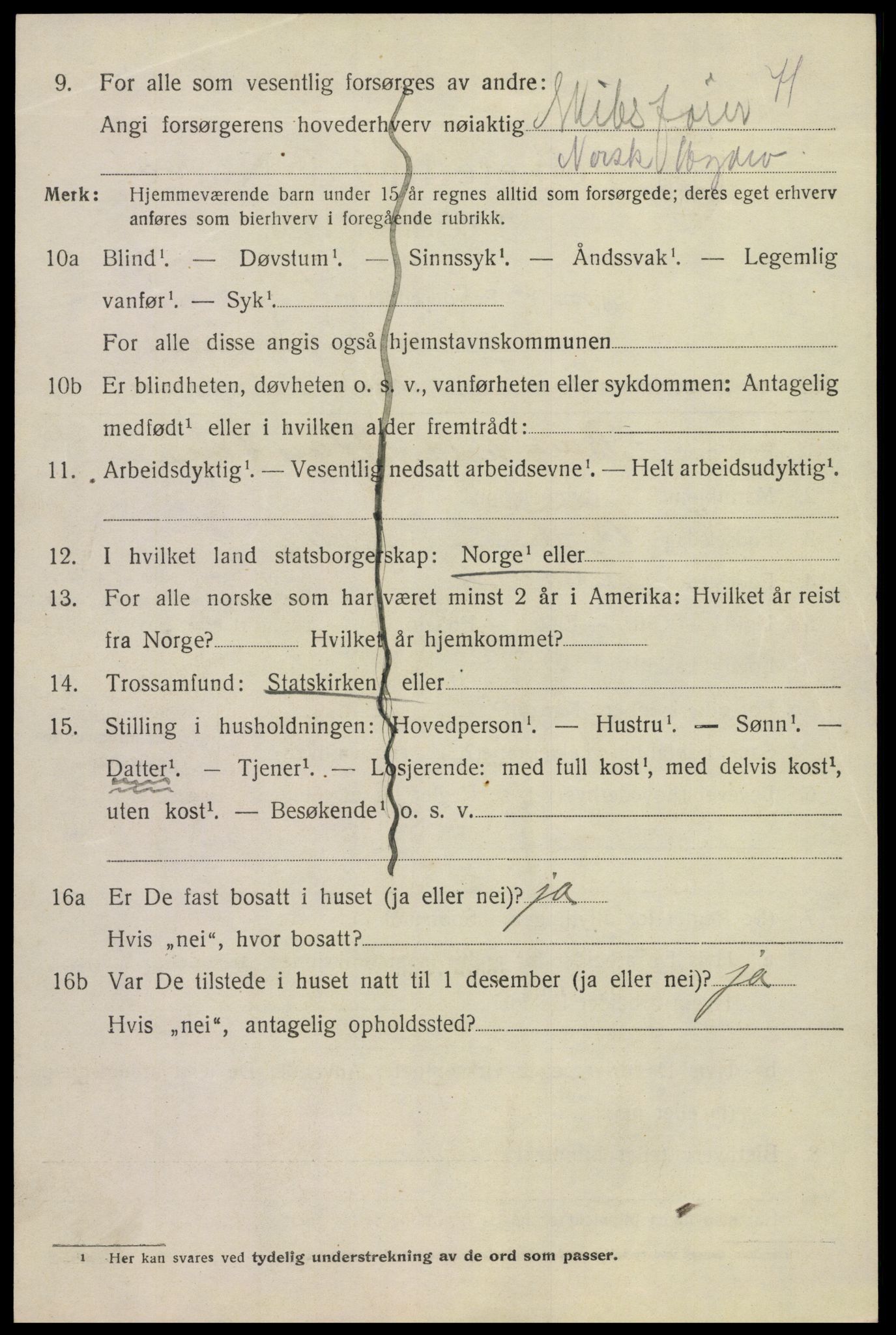 SAKO, 1920 census for Tinn, 1920, p. 8845