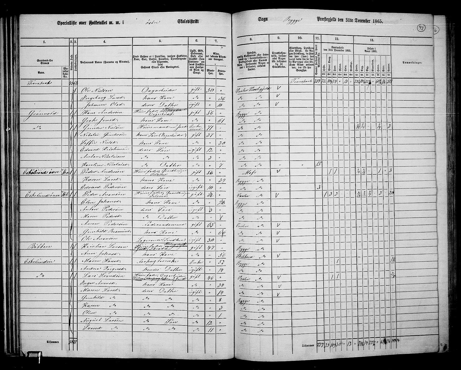 RA, 1865 census for Rygge, 1865, p. 15