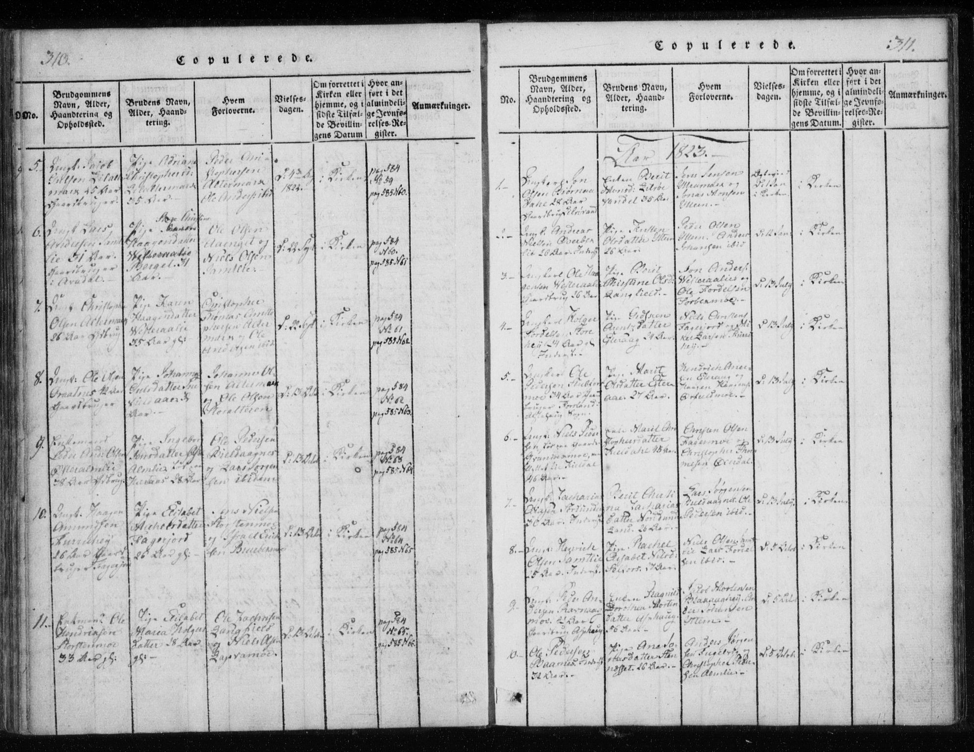 Ministerialprotokoller, klokkerbøker og fødselsregistre - Nordland, AV/SAT-A-1459/825/L0353: Parish register (official) no. 825A07, 1820-1826, p. 310-311