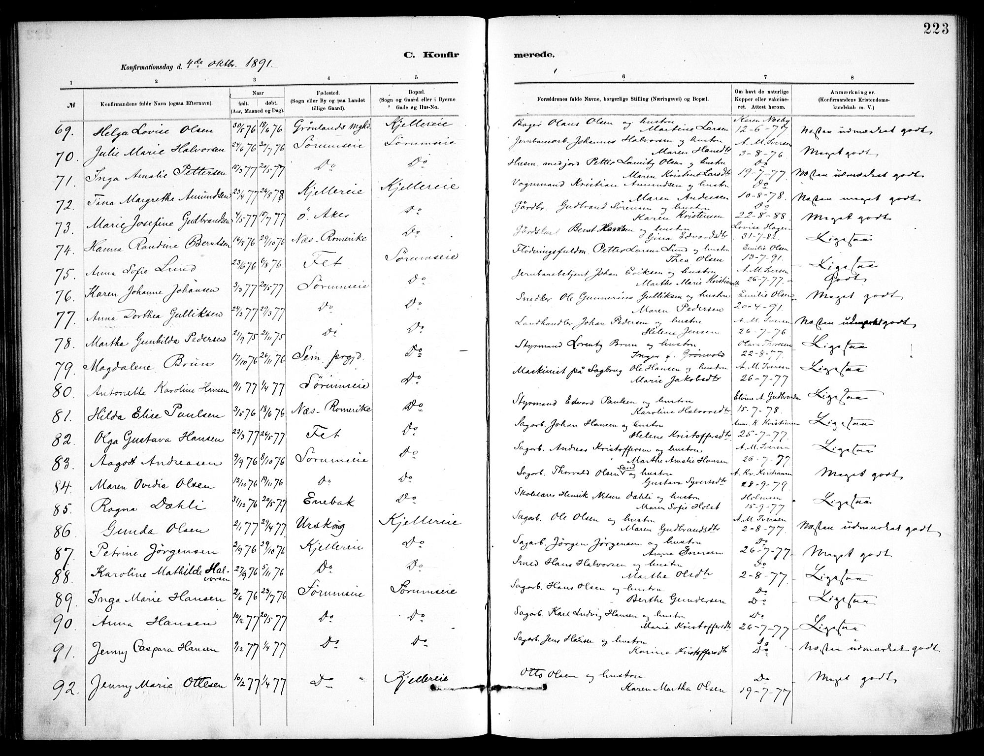 Skedsmo prestekontor Kirkebøker, SAO/A-10033a/F/Fa/L0013: Parish register (official) no. I 13, 1883-1891, p. 223