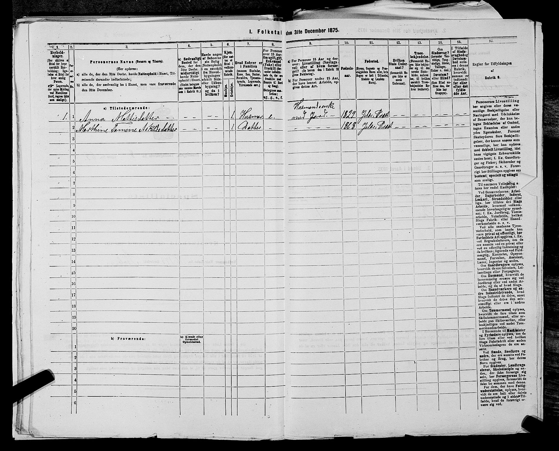 SAST, 1875 census for 1138P Jelsa, 1875, p. 802