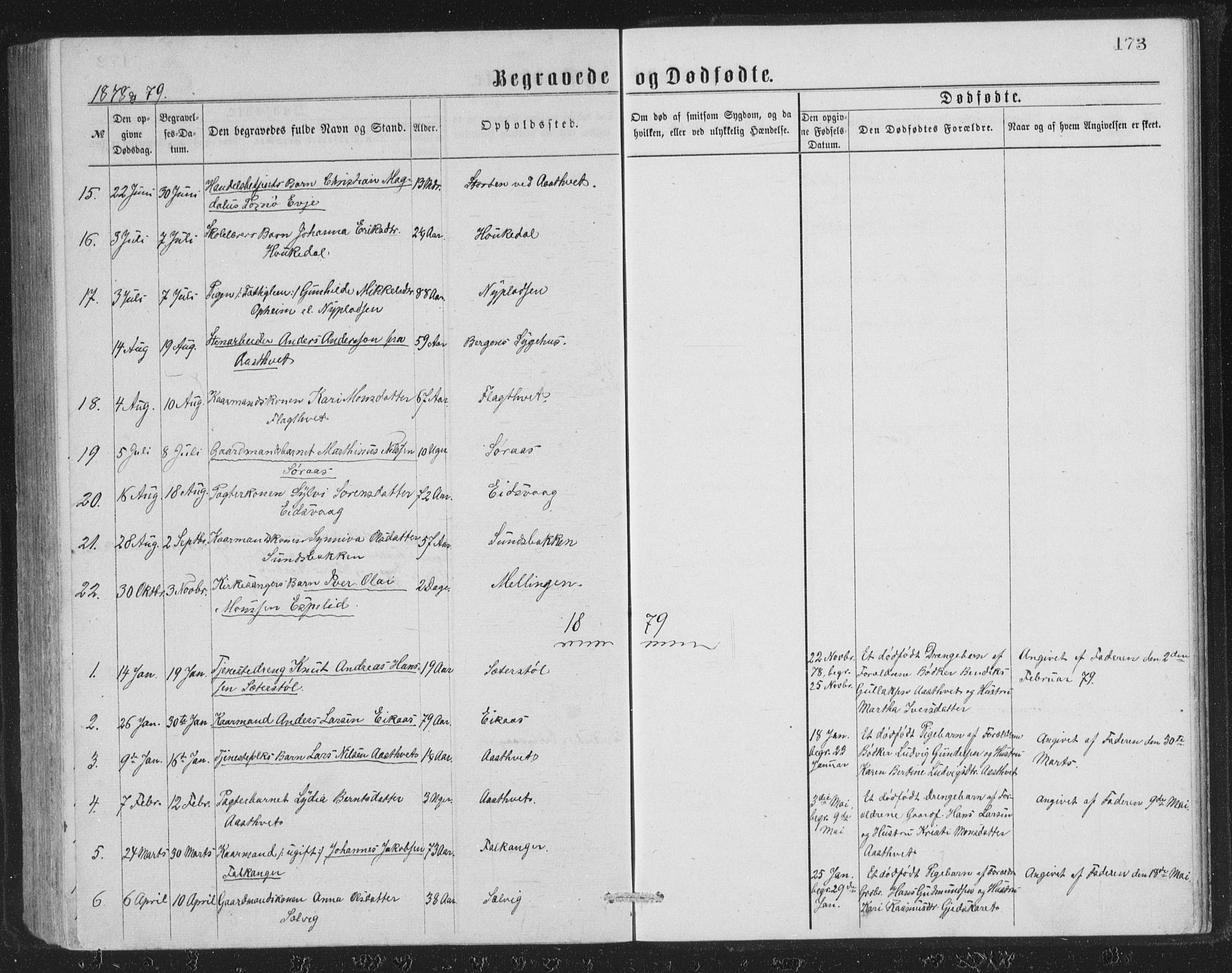 Åsane sokneprestembete, SAB/A-79401/H/Hab: Parish register (copy) no. A 1, 1870-1884, p. 173