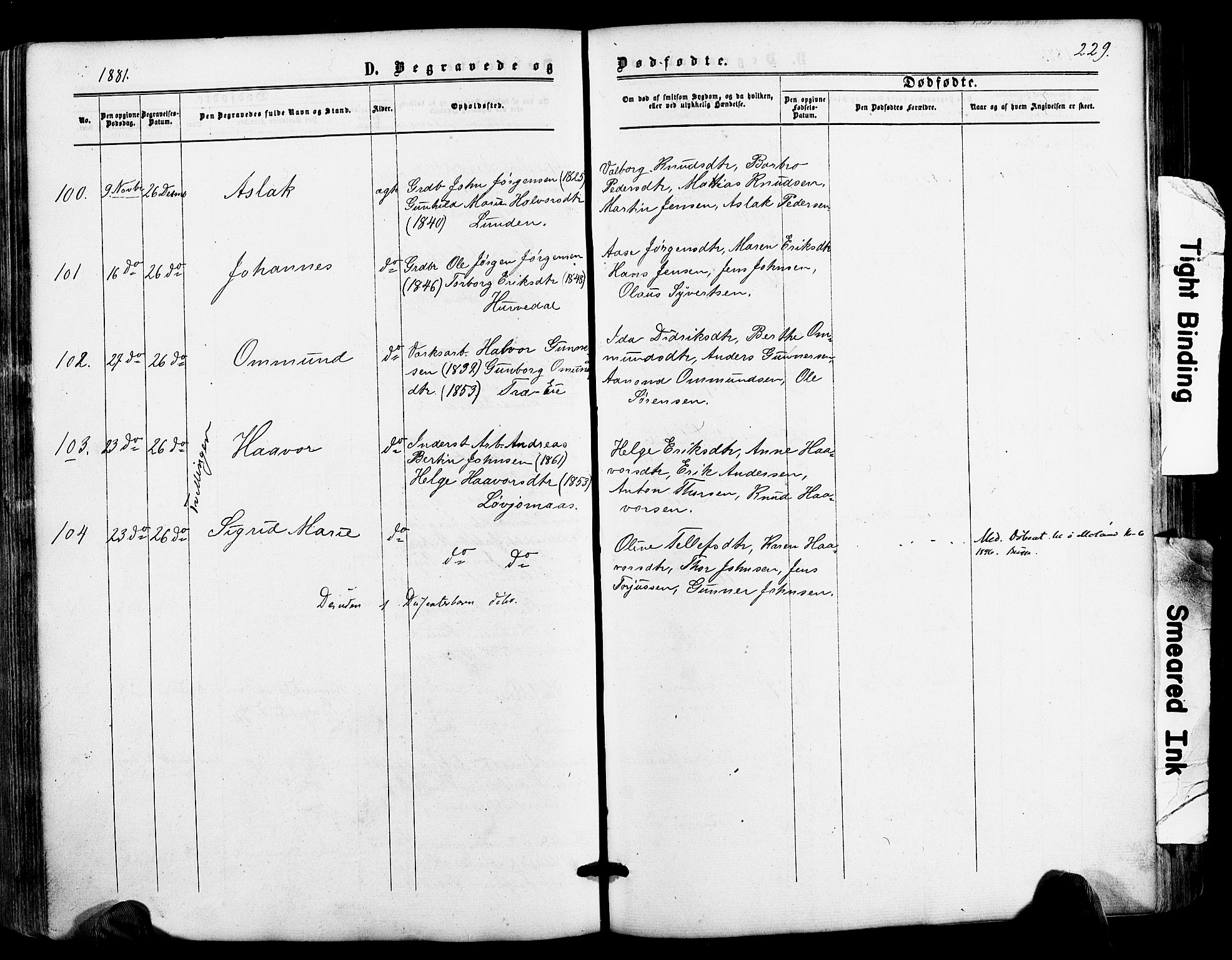 Froland sokneprestkontor, AV/SAK-1111-0013/F/Fa/L0003: Parish register (official) no. A 3, 1864-1881, p. 229