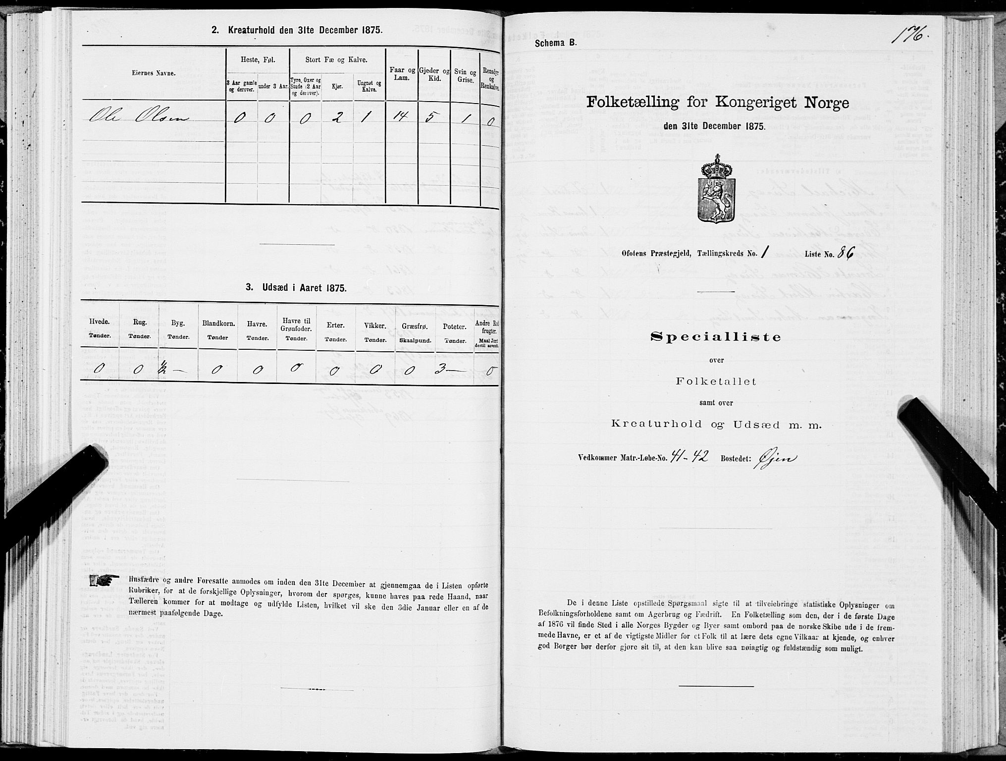 SAT, 1875 census for 1853P Ofoten, 1875, p. 1176