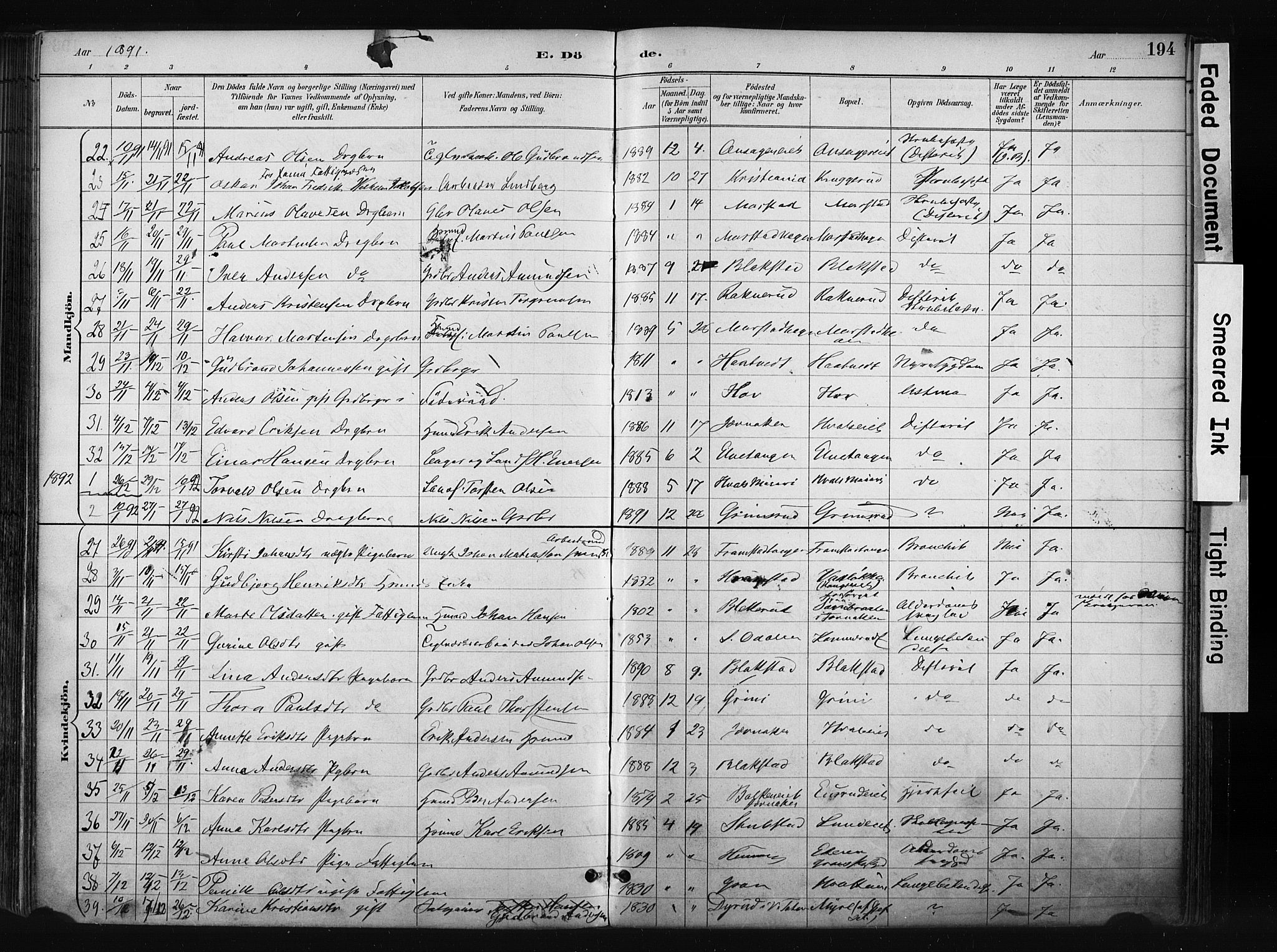 Gran prestekontor, SAH/PREST-112/H/Ha/Haa/L0017: Parish register (official) no. 17, 1889-1897, p. 194
