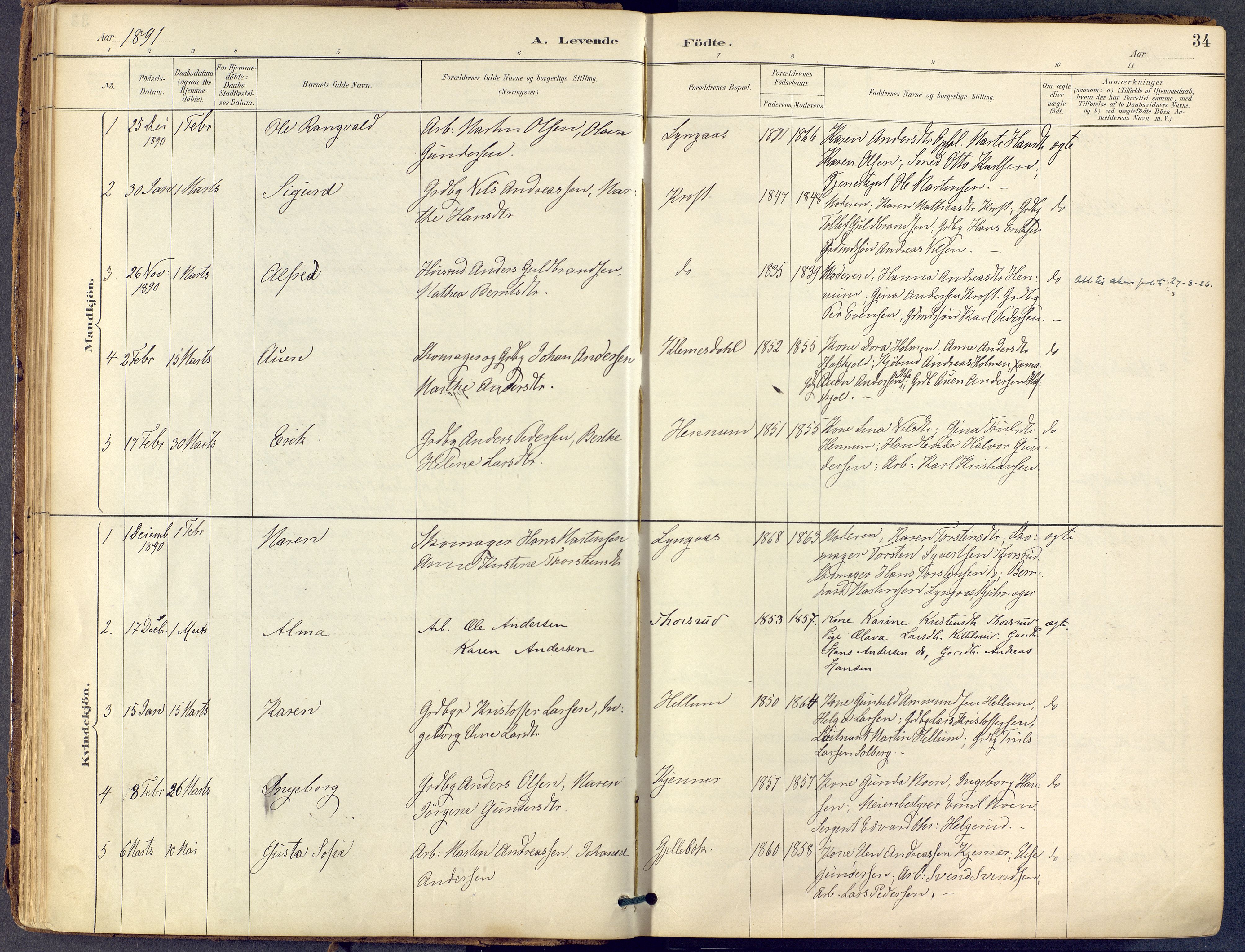 Lier kirkebøker, SAKO/A-230/F/Fb/L0001: Parish register (official) no. II 1, 1883-1910, p. 34