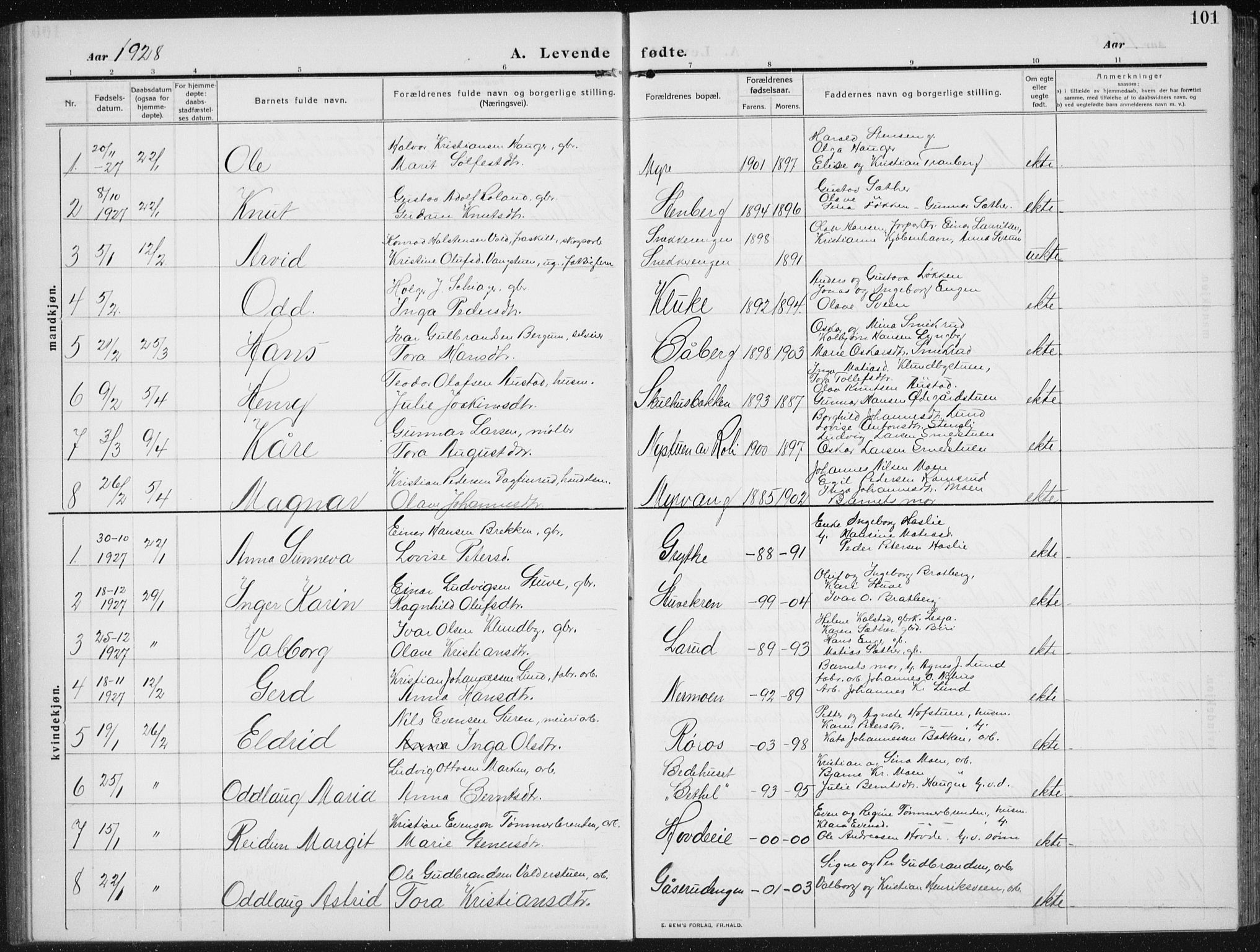 Biri prestekontor, SAH/PREST-096/H/Ha/Hab/L0006: Parish register (copy) no. 6, 1909-1938, p. 101