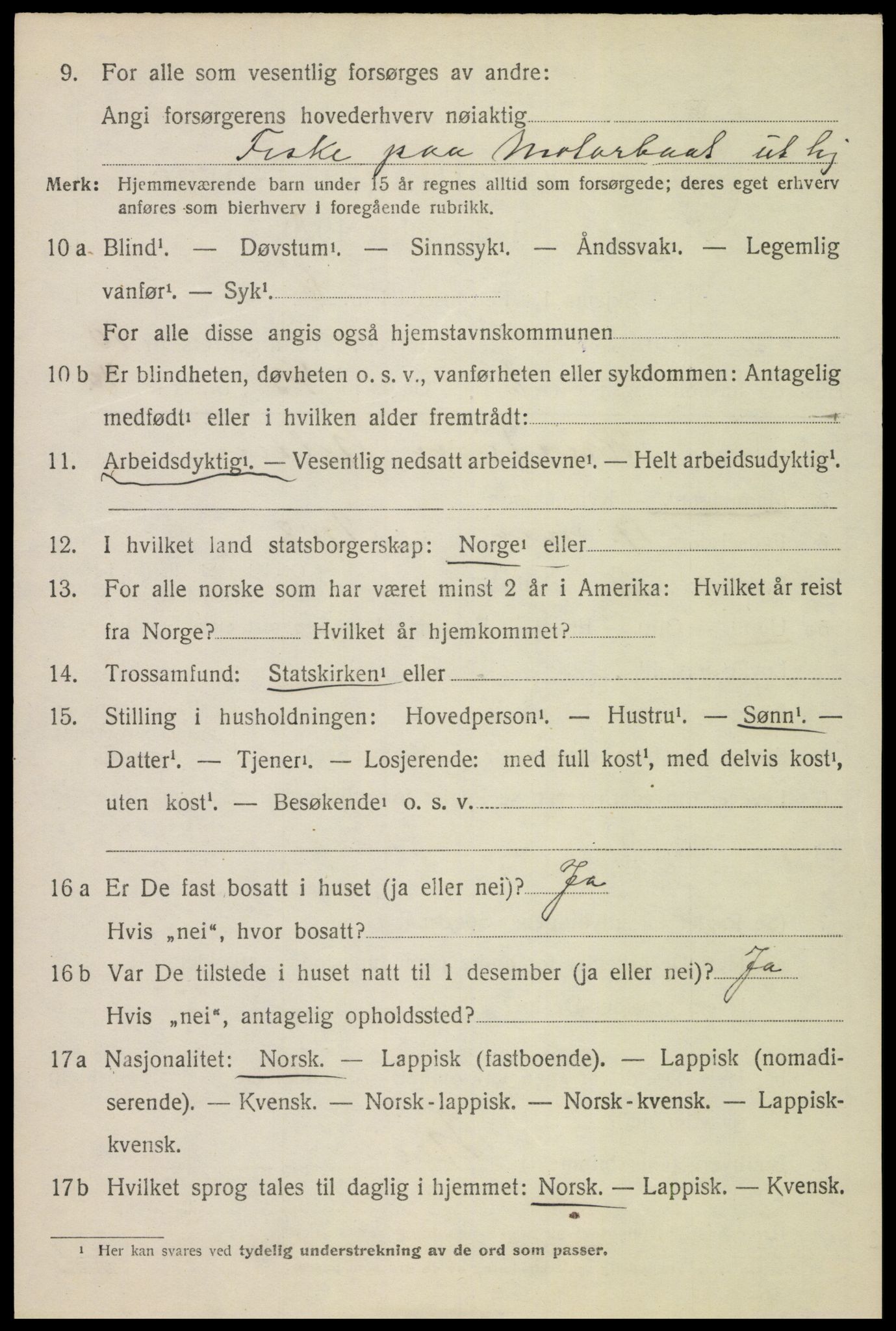 SAT, 1920 census for Bø, 1920, p. 8529