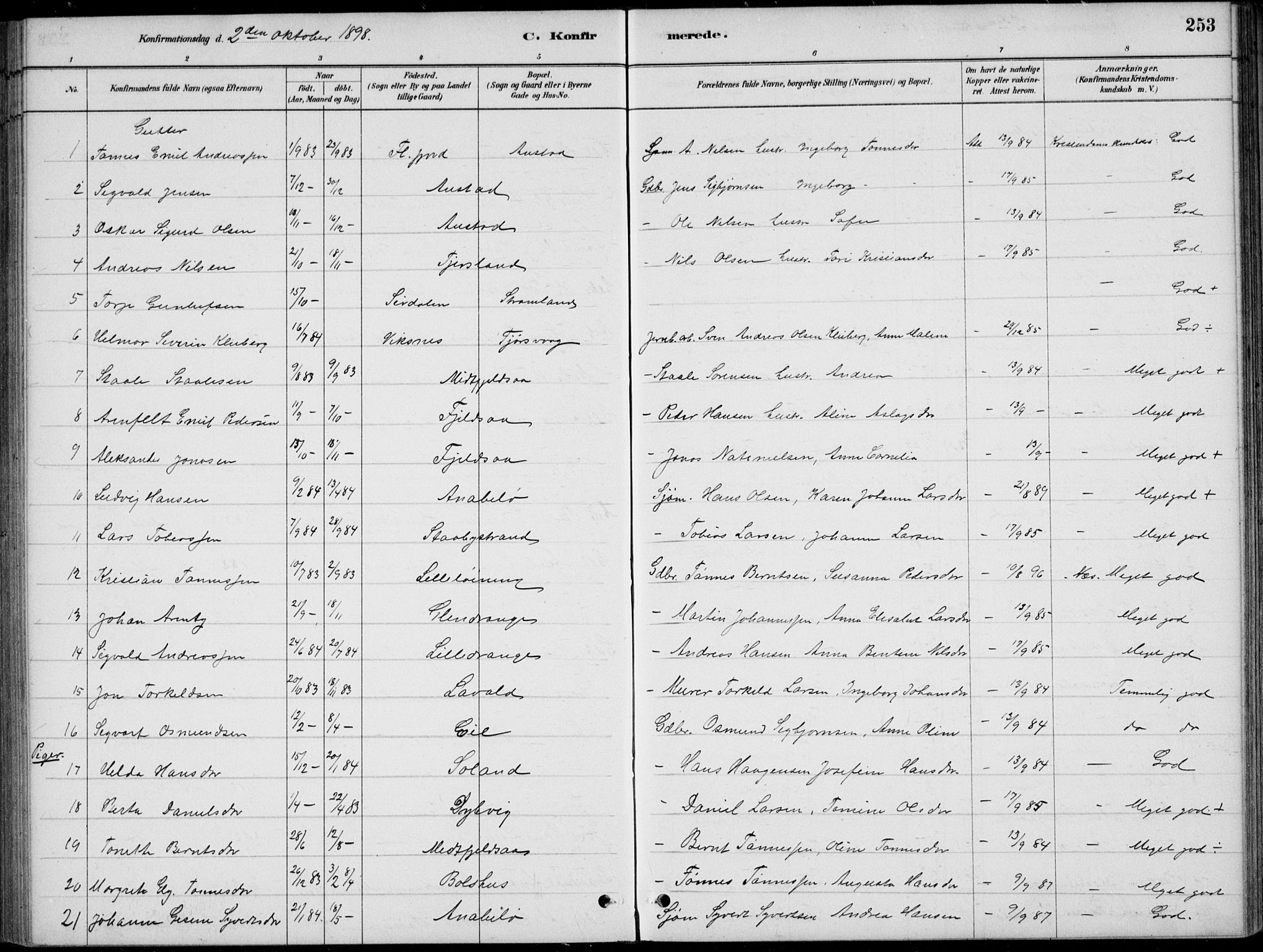 Flekkefjord sokneprestkontor, SAK/1111-0012/F/Fb/Fbc/L0007: Parish register (copy) no. B 7, 1880-1902, p. 253