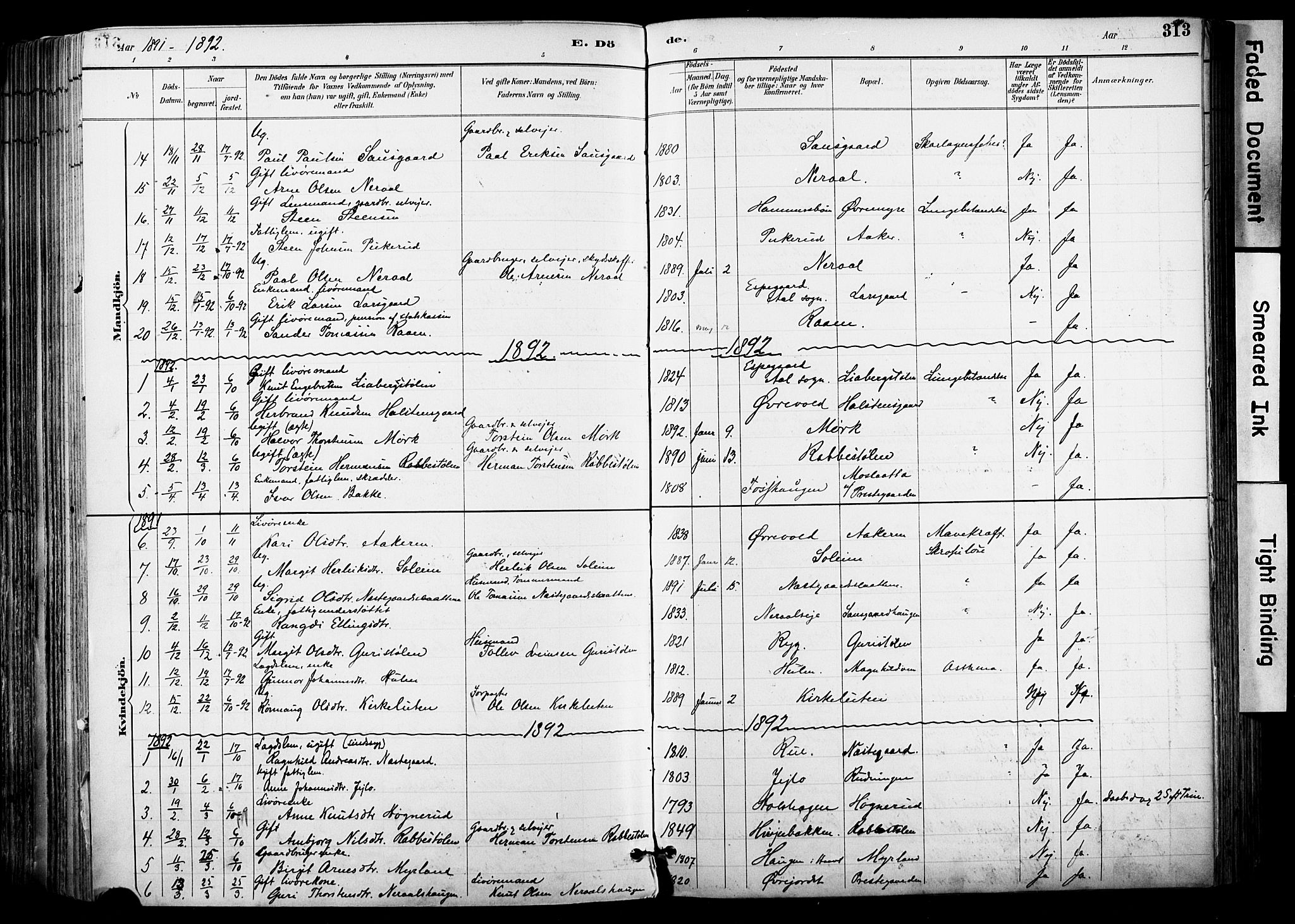 Hol kirkebøker, AV/SAKO-A-227/F/Fa/L0003: Parish register (official) no. I 3, 1887-1918, p. 313