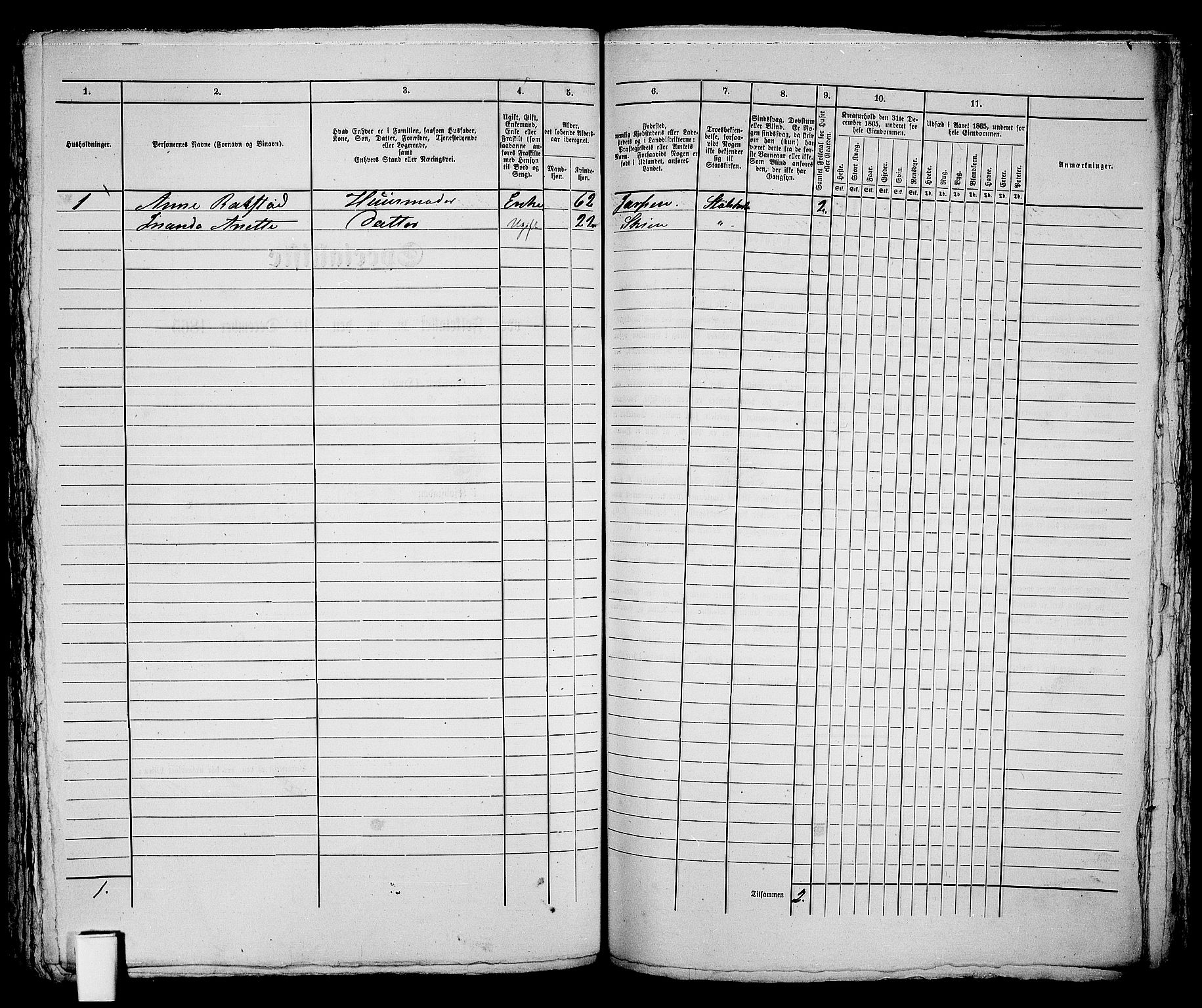 RA, 1865 census for Skien, 1865, p. 287