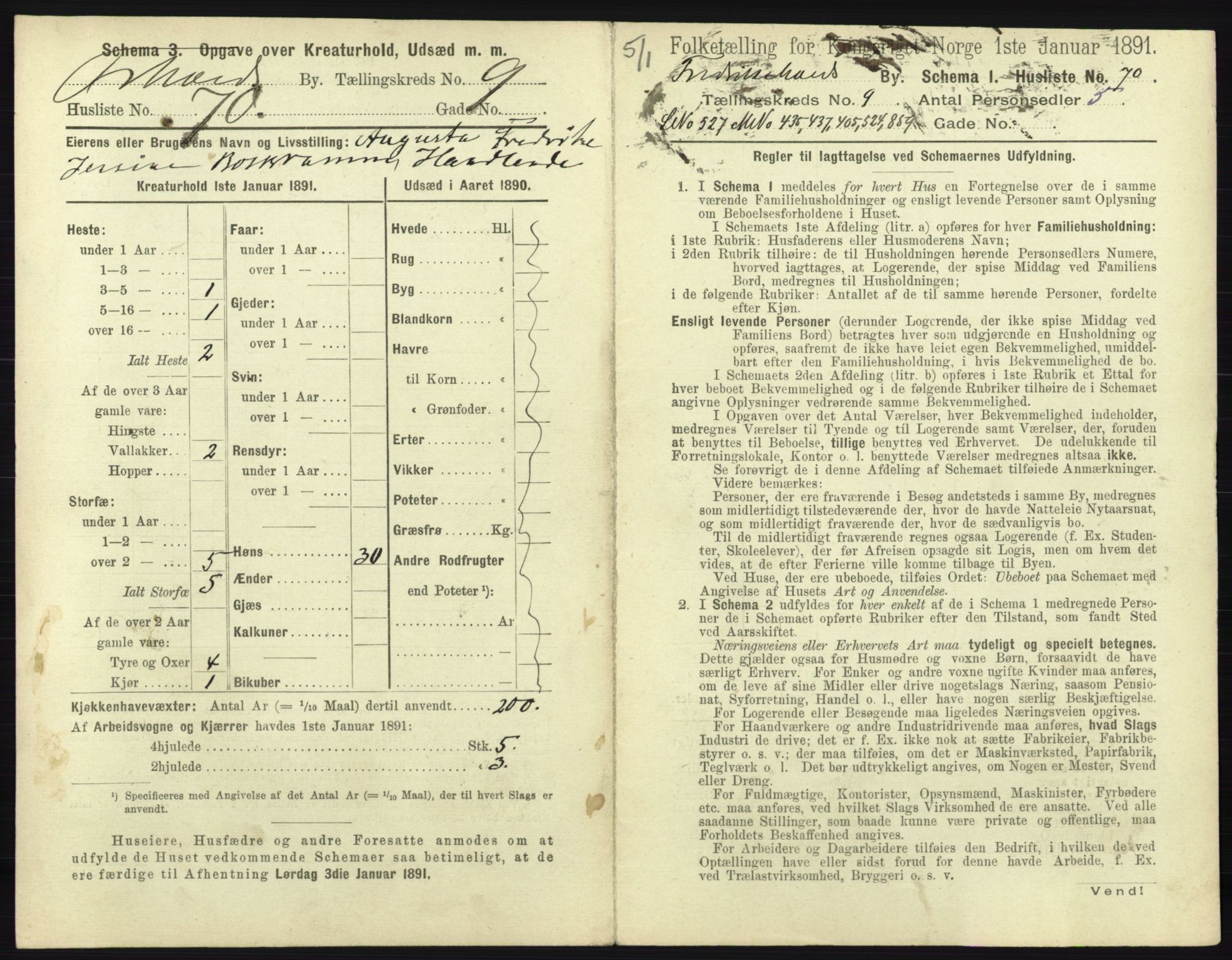 RA, 1891 census for 0101 Fredrikshald, 1891, p. 916