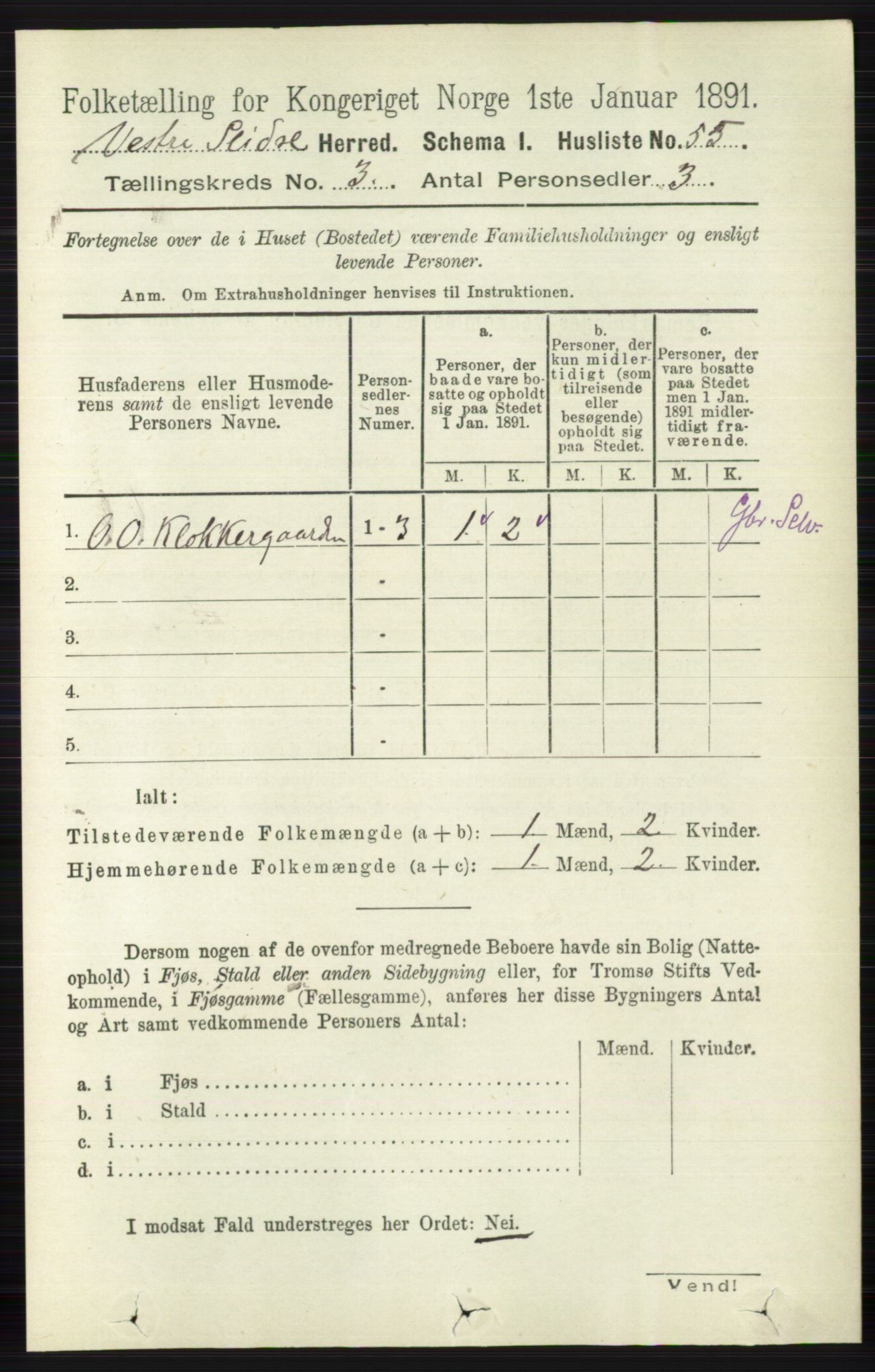 RA, 1891 census for 0543 Vestre Slidre, 1891, p. 818