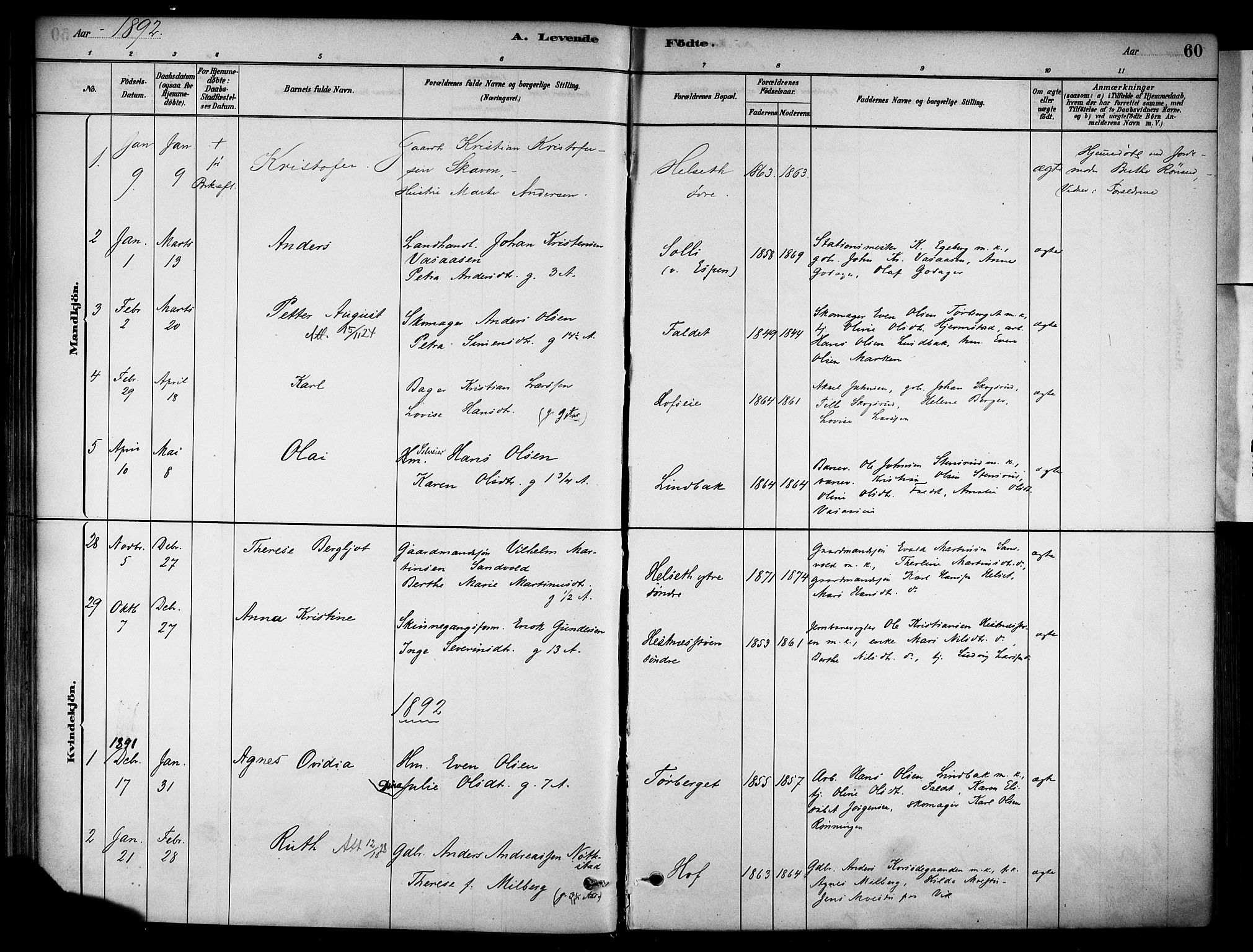 Stange prestekontor, SAH/PREST-002/K/L0018: Parish register (official) no. 18, 1880-1896, p. 60