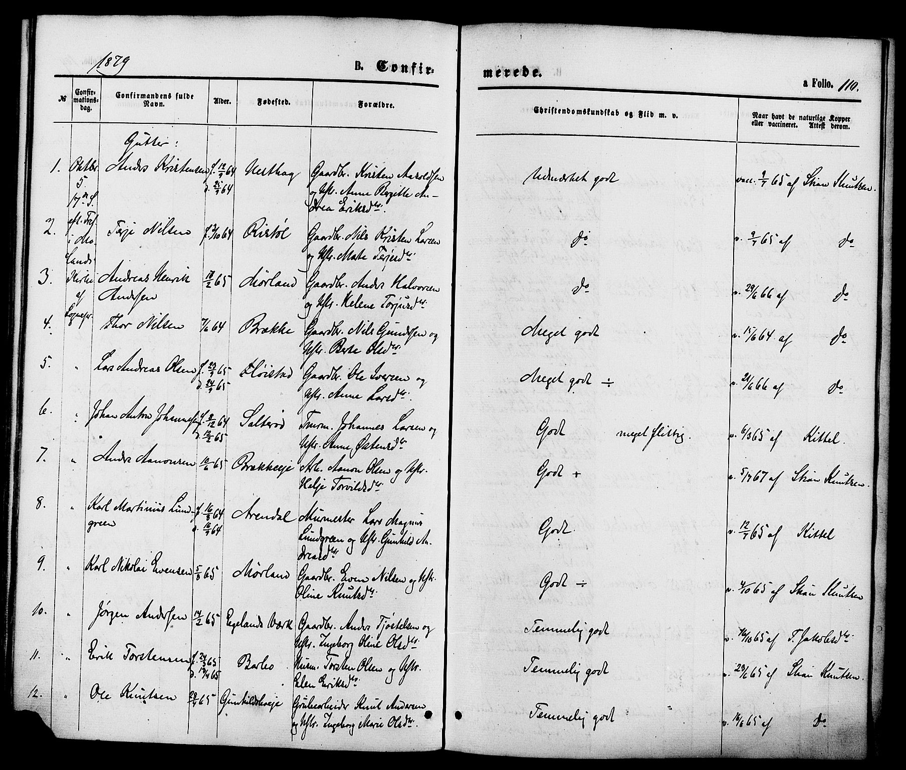 Austre Moland sokneprestkontor, SAK/1111-0001/F/Fa/Faa/L0009: Parish register (official) no. A 9, 1869-1879, p. 110