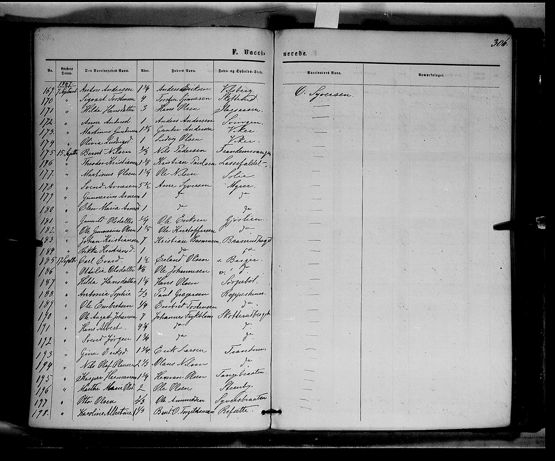 Eidskog prestekontor, AV/SAH-PREST-026/H/Ha/Haa/L0002: Parish register (official) no. 2, 1867-1878, p. 306