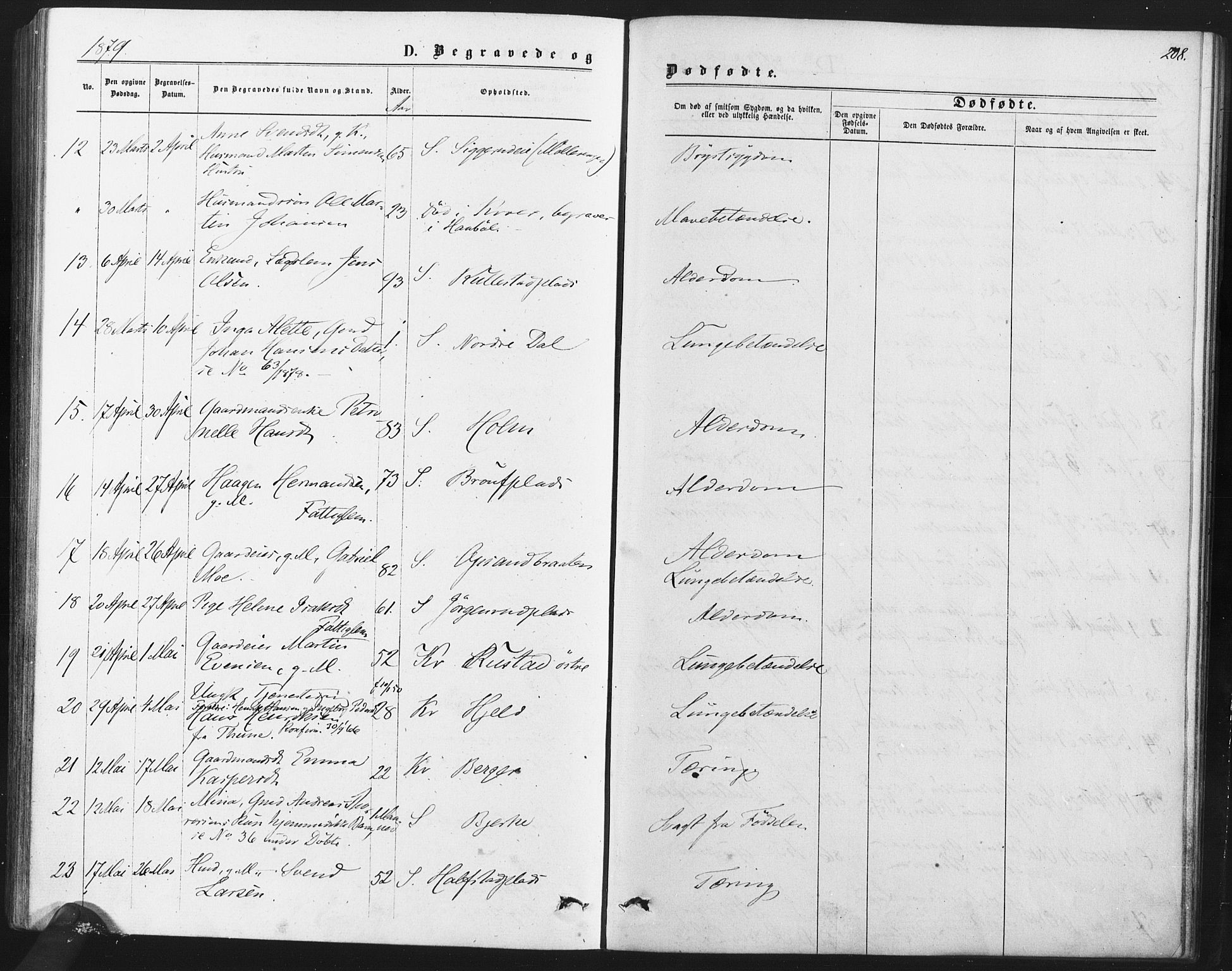 Kråkstad prestekontor Kirkebøker, AV/SAO-A-10125a/F/Fa/L0008: Parish register (official) no. I 8, 1870-1879, p. 208