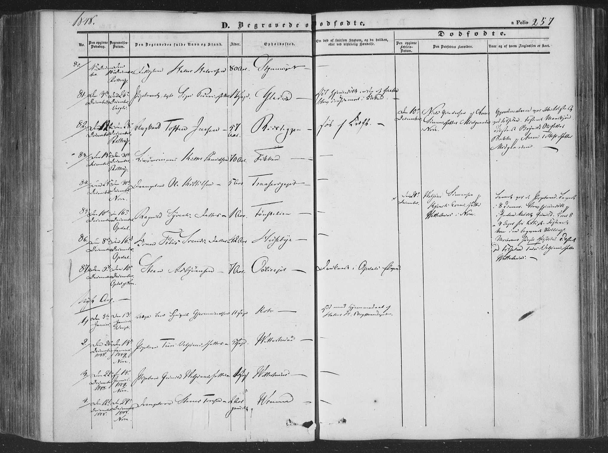 Rollag kirkebøker, SAKO/A-240/F/Fa/L0008: Parish register (official) no. I 8, 1847-1860, p. 257