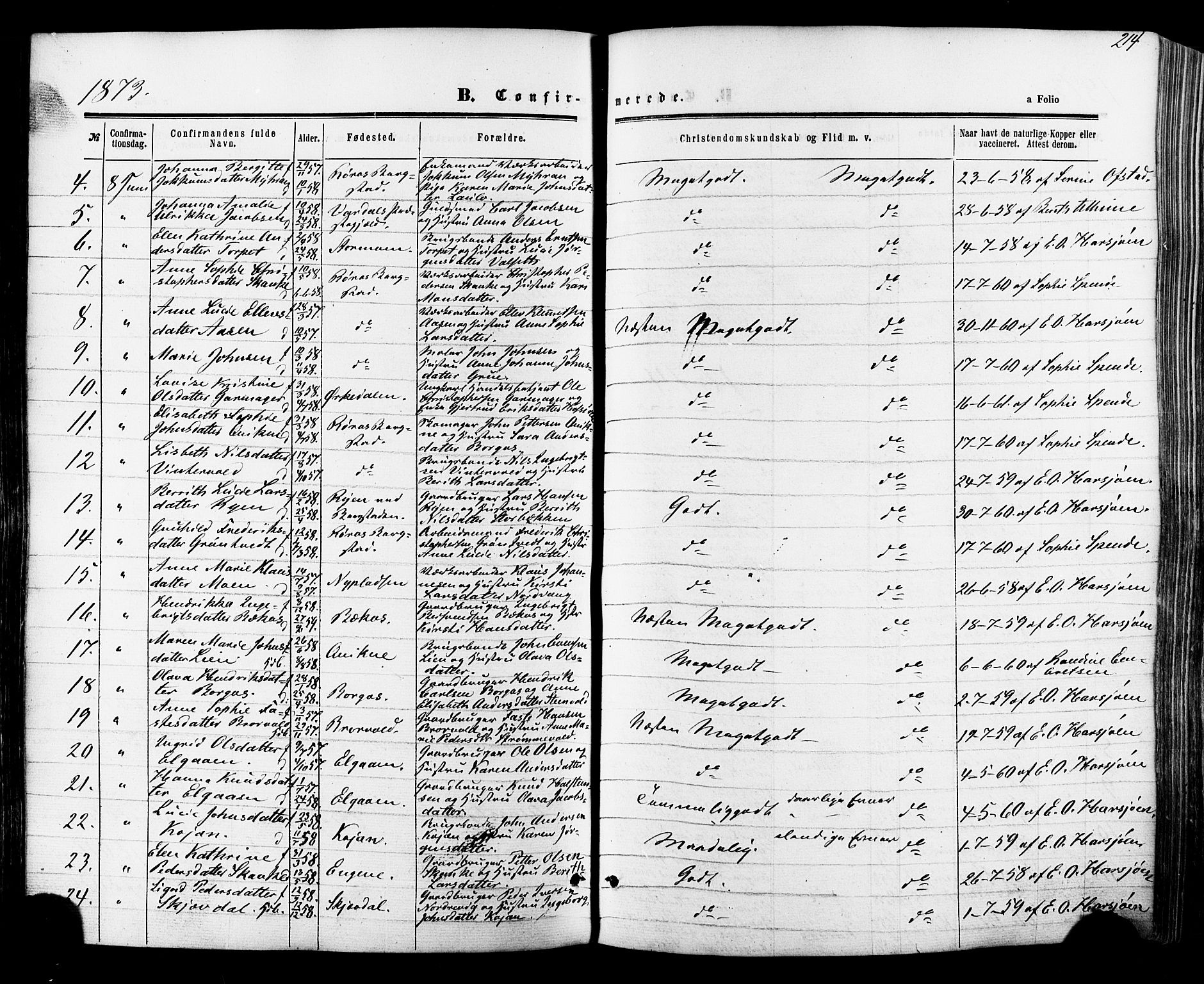 Ministerialprotokoller, klokkerbøker og fødselsregistre - Sør-Trøndelag, SAT/A-1456/681/L0932: Parish register (official) no. 681A10, 1860-1878, p. 214