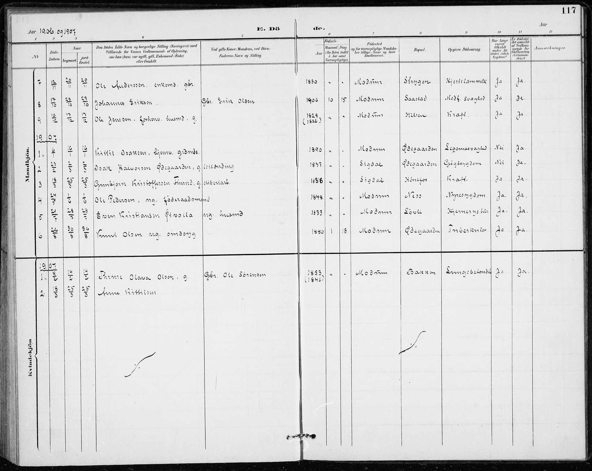 Modum kirkebøker, AV/SAKO-A-234/F/Fa/L0020: Parish register (official) no. 20, 1900-1917, p. 117