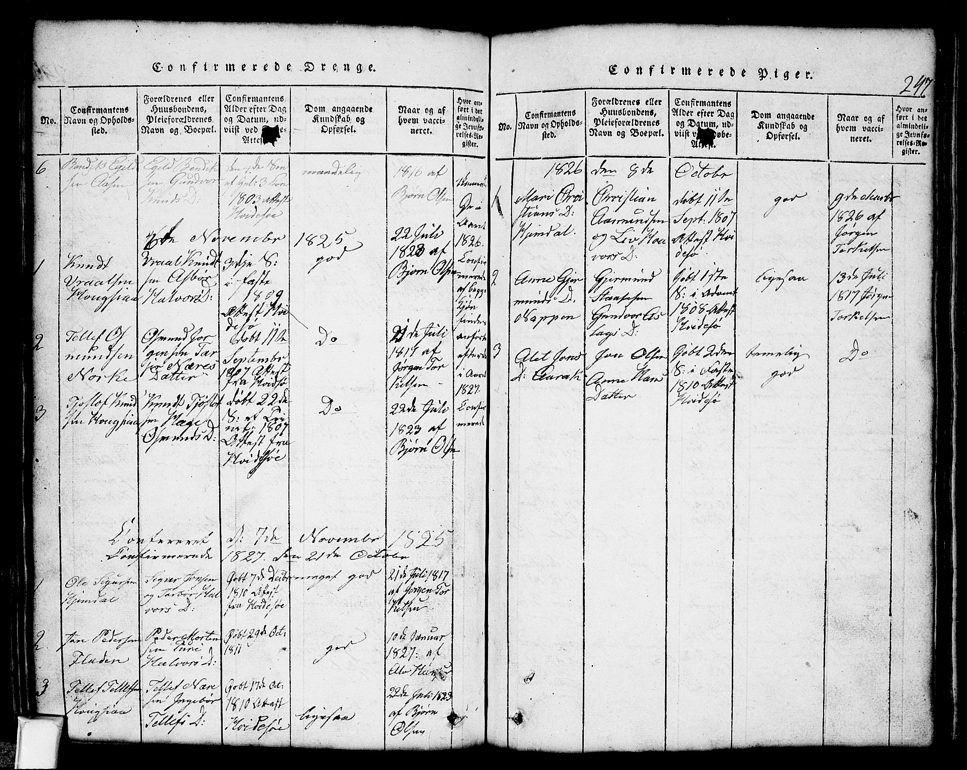 Nissedal kirkebøker, SAKO/A-288/G/Gb/L0001: Parish register (copy) no. II 1, 1814-1862, p. 247