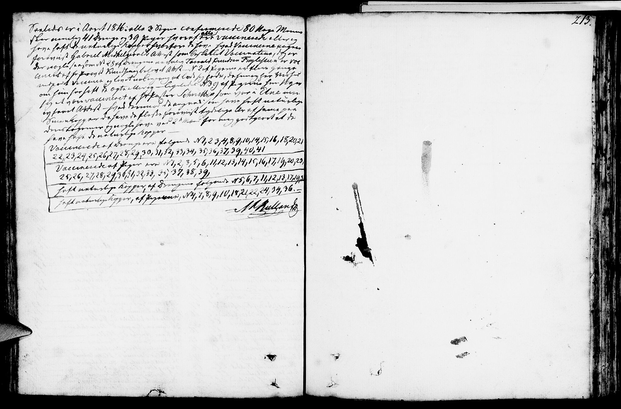 Vikedal sokneprestkontor, SAST/A-101840/01/IV: Parish register (official) no. A 2, 1779-1817, p. 213