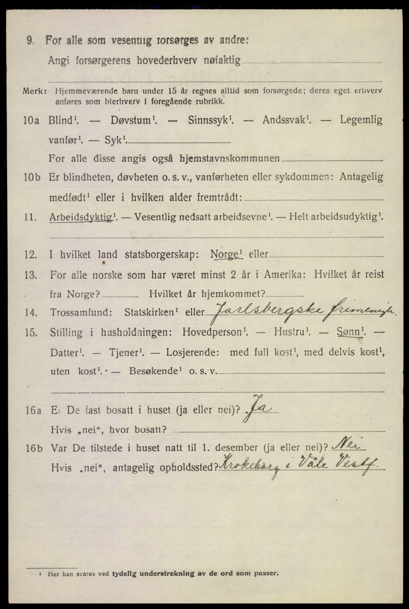 SAKO, 1920 census for Våle, 1920, p. 6343