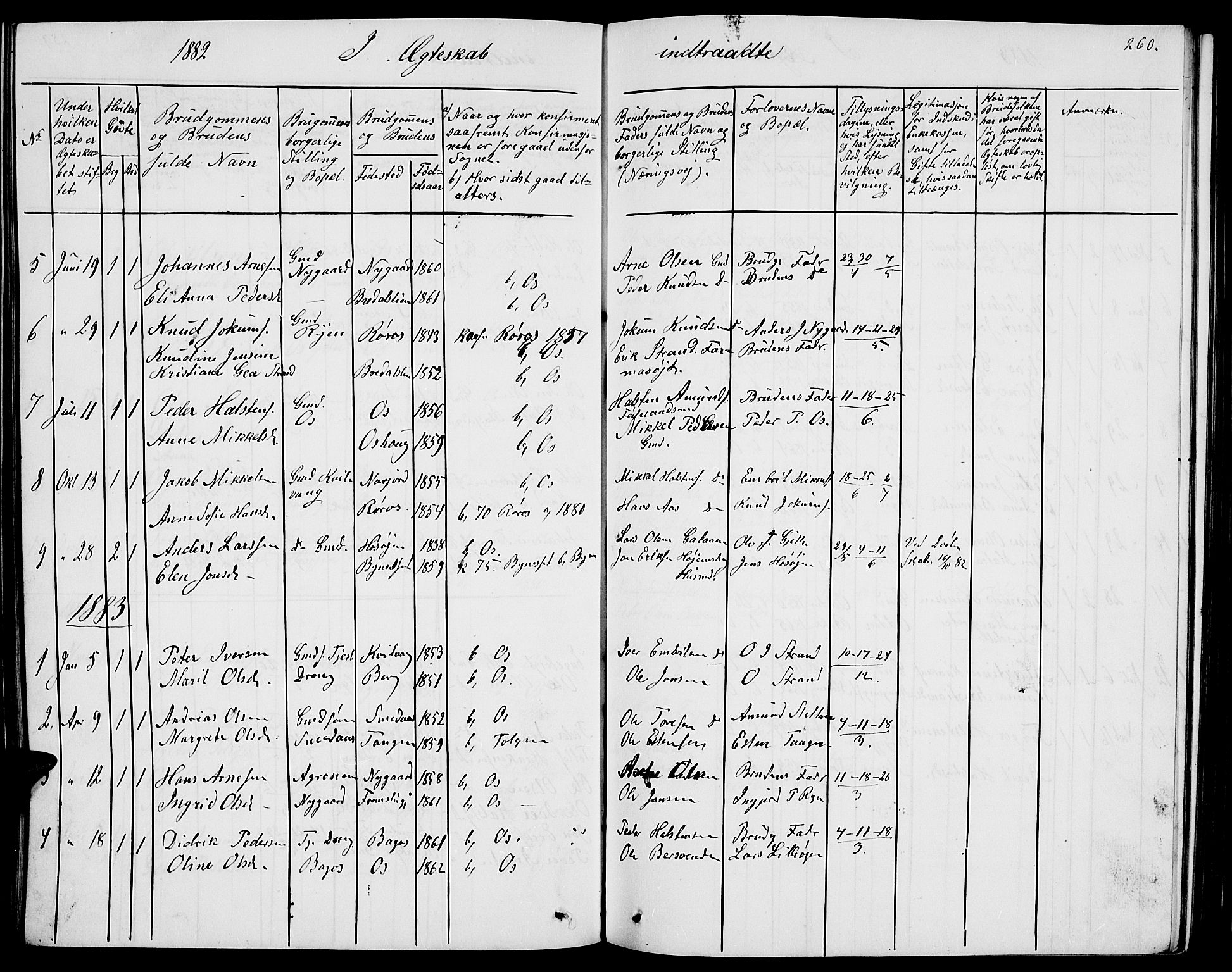 Tolga prestekontor, SAH/PREST-062/L/L0004: Parish register (copy) no. 4, 1845-1887, p. 260