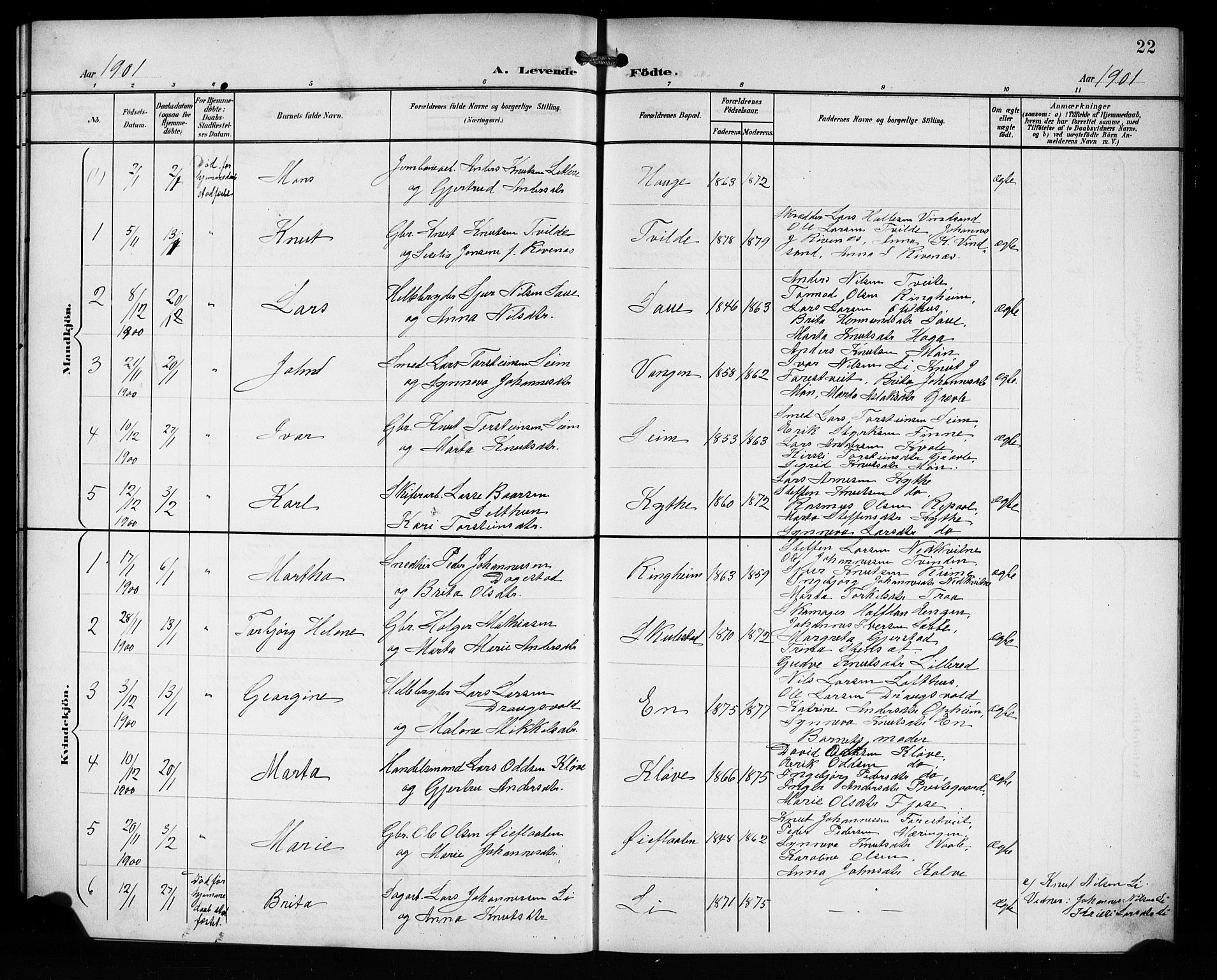 Voss sokneprestembete, AV/SAB-A-79001/H/Hab: Parish register (copy) no. C 2, 1900-1909, p. 22