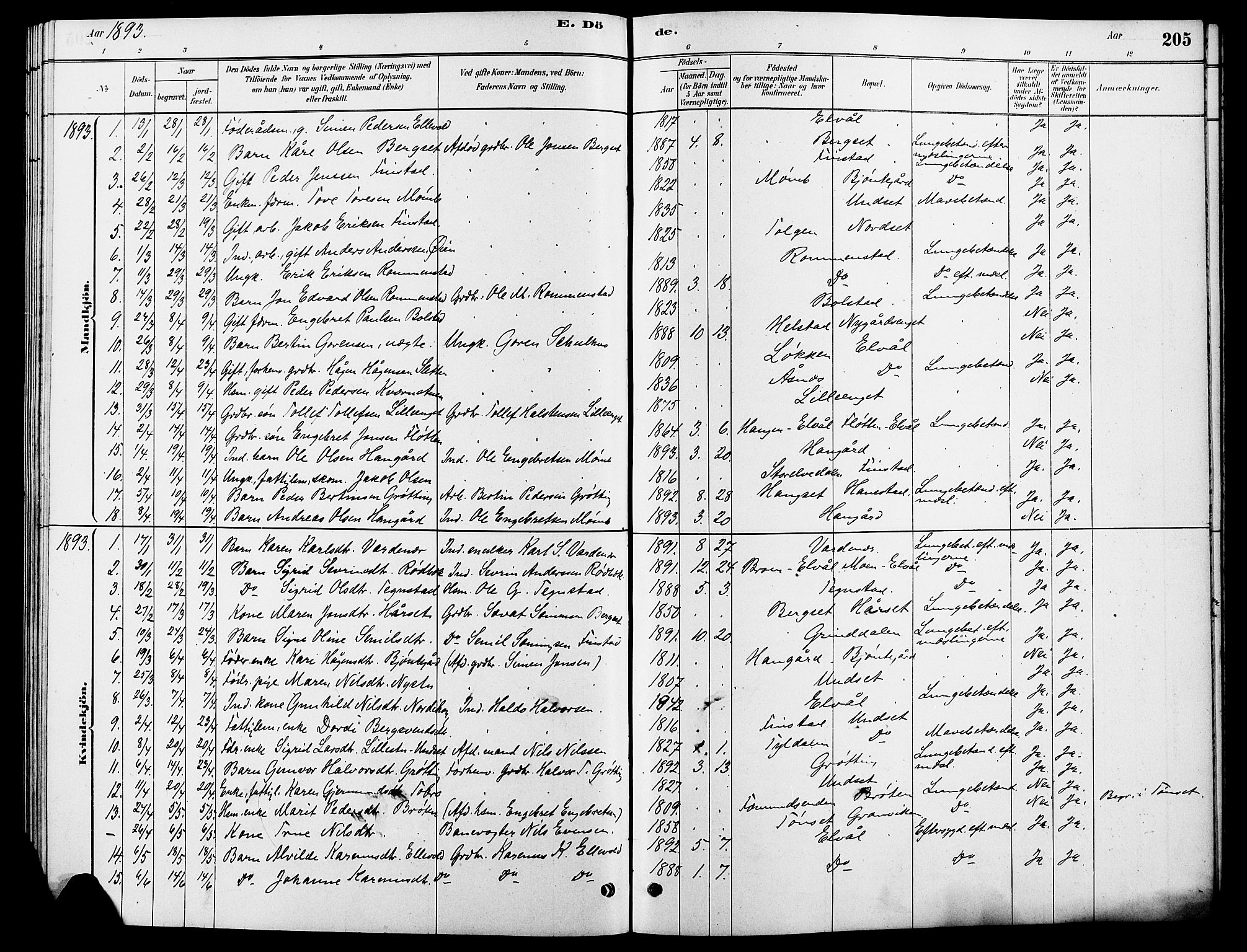 Rendalen prestekontor, SAH/PREST-054/H/Ha/Hab/L0003: Parish register (copy) no. 3, 1879-1904, p. 205