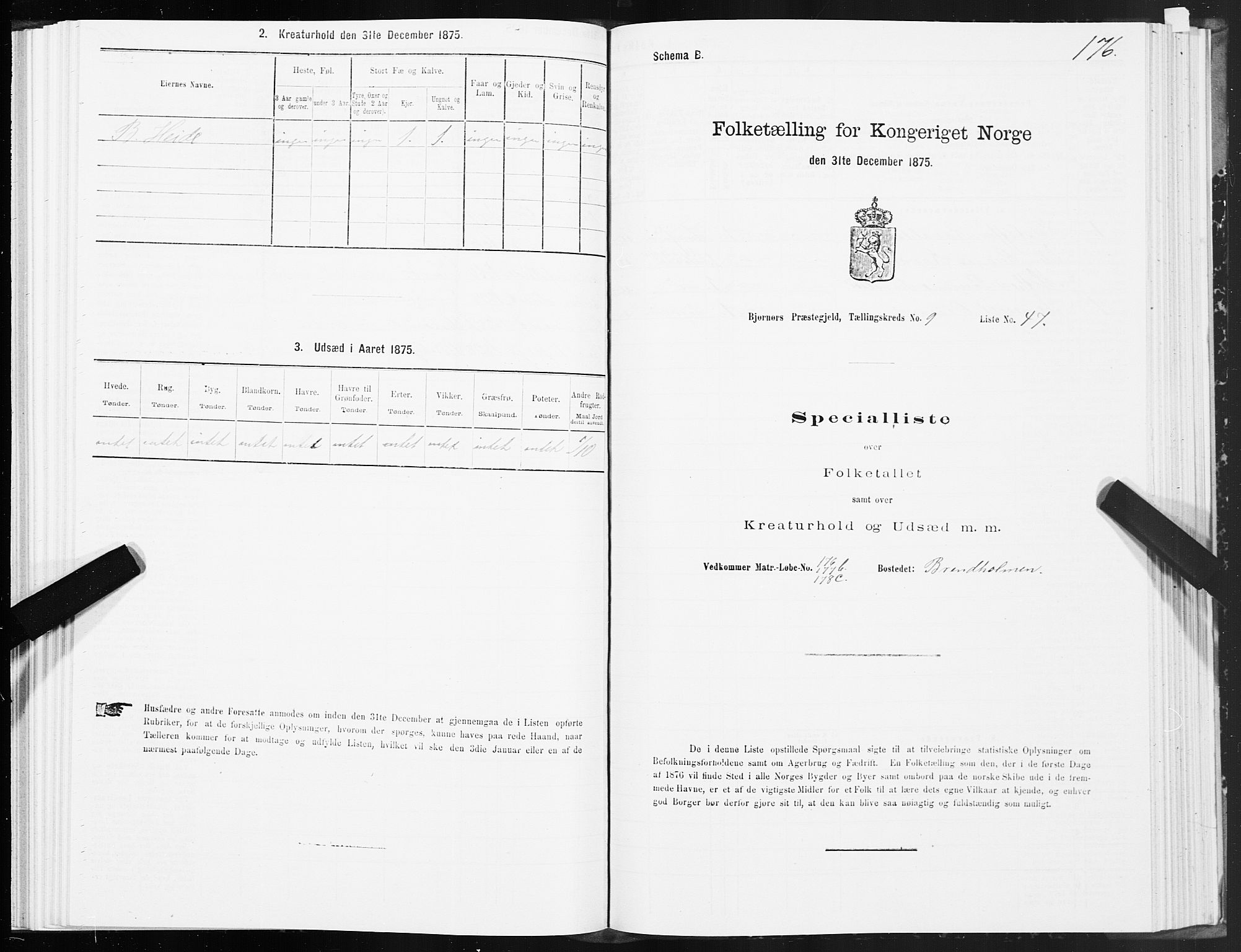 SAT, 1875 census for 1632P Bjørnør, 1875, p. 4176