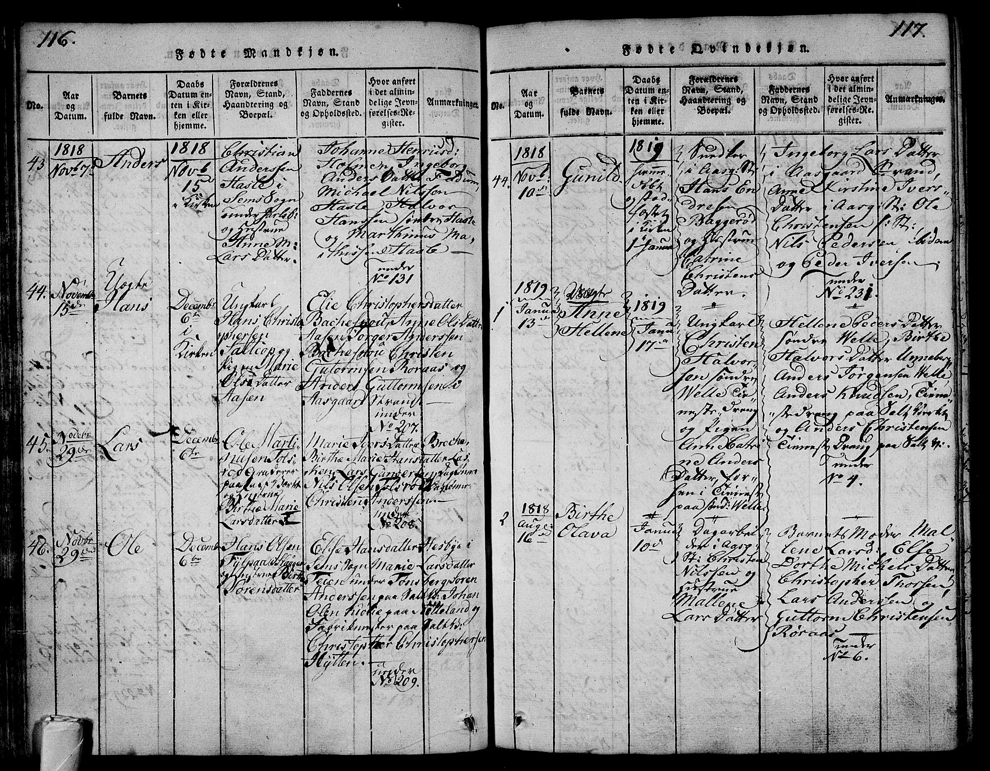 Sem kirkebøker, AV/SAKO-A-5/F/Fa/L0004: Parish register (official) no. I 4, 1814-1825, p. 116-117