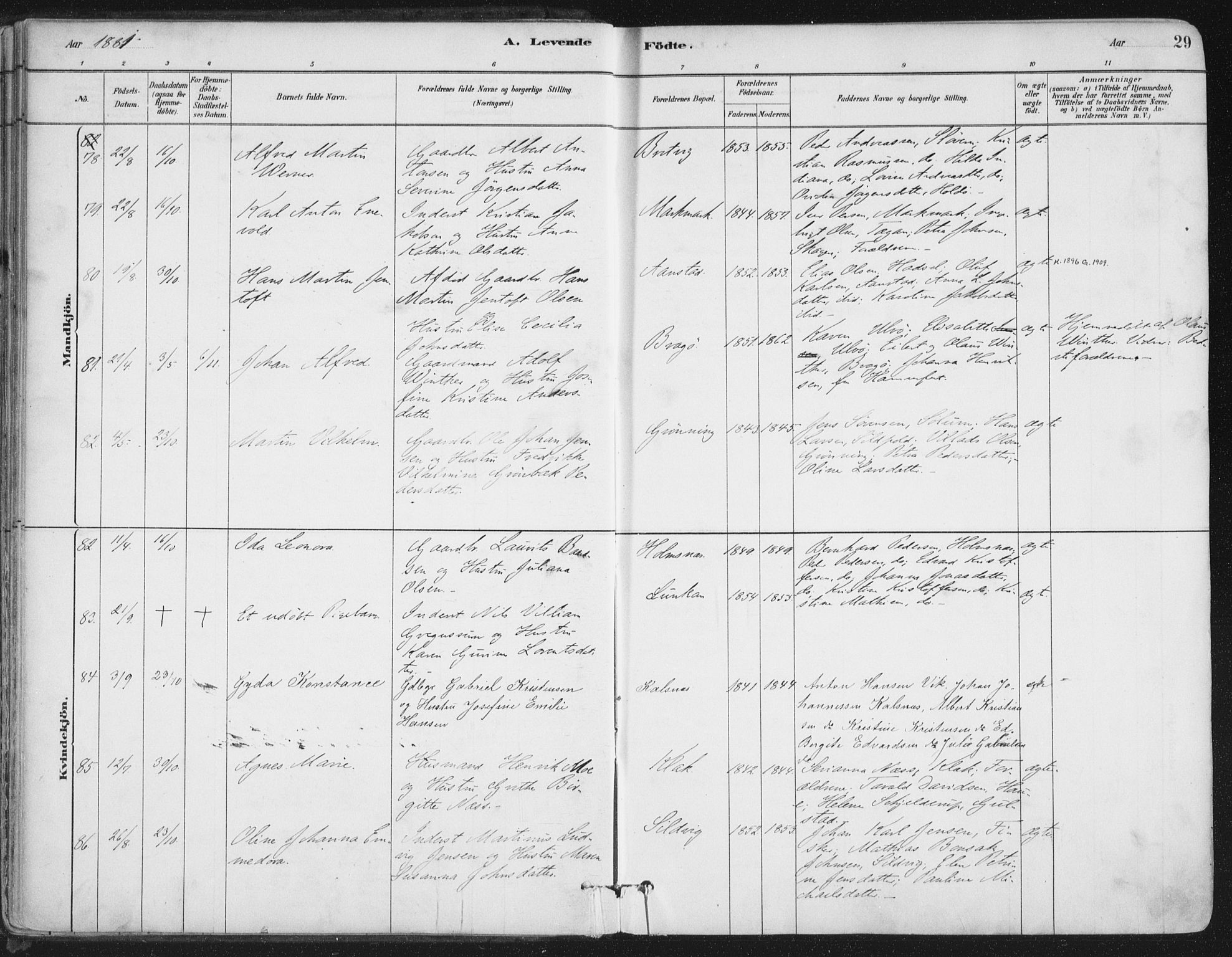 Ministerialprotokoller, klokkerbøker og fødselsregistre - Nordland, SAT/A-1459/888/L1244: Parish register (official) no. 888A10, 1880-1890, p. 29