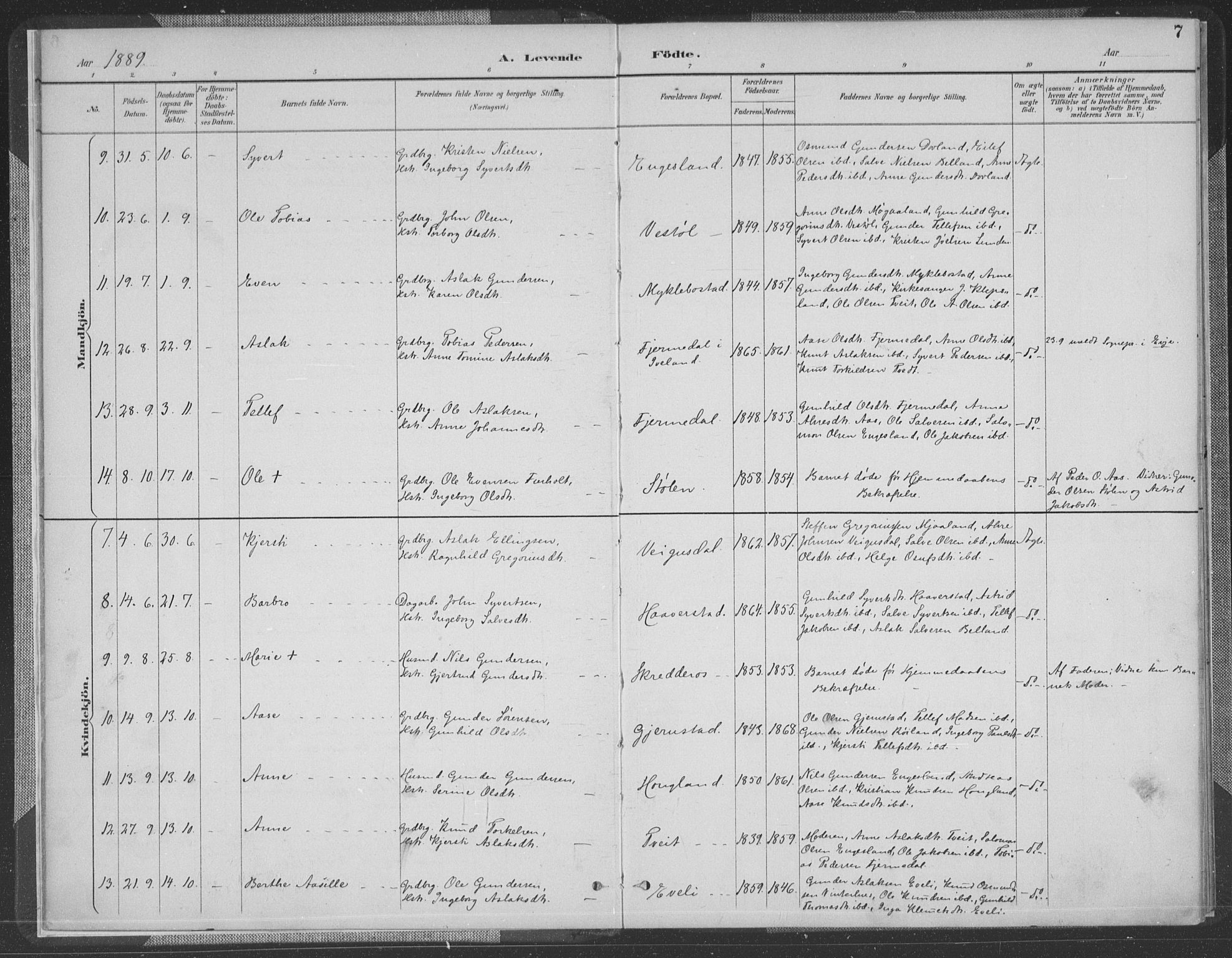 Herefoss sokneprestkontor, AV/SAK-1111-0019/F/Fa/Fab/L0004: Parish register (official) no. A 4, 1887-1909, p. 7