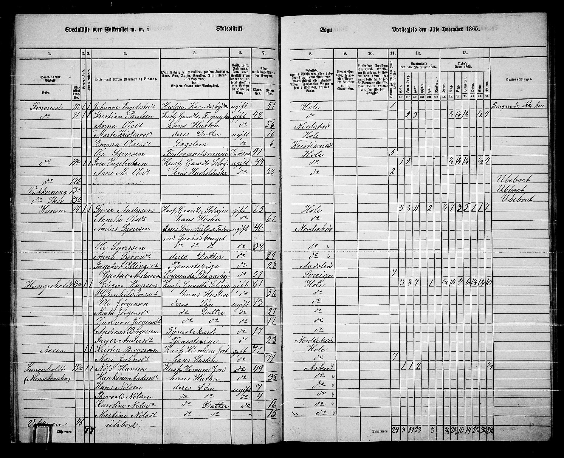 RA, 1865 census for Hole, 1865, p. 19