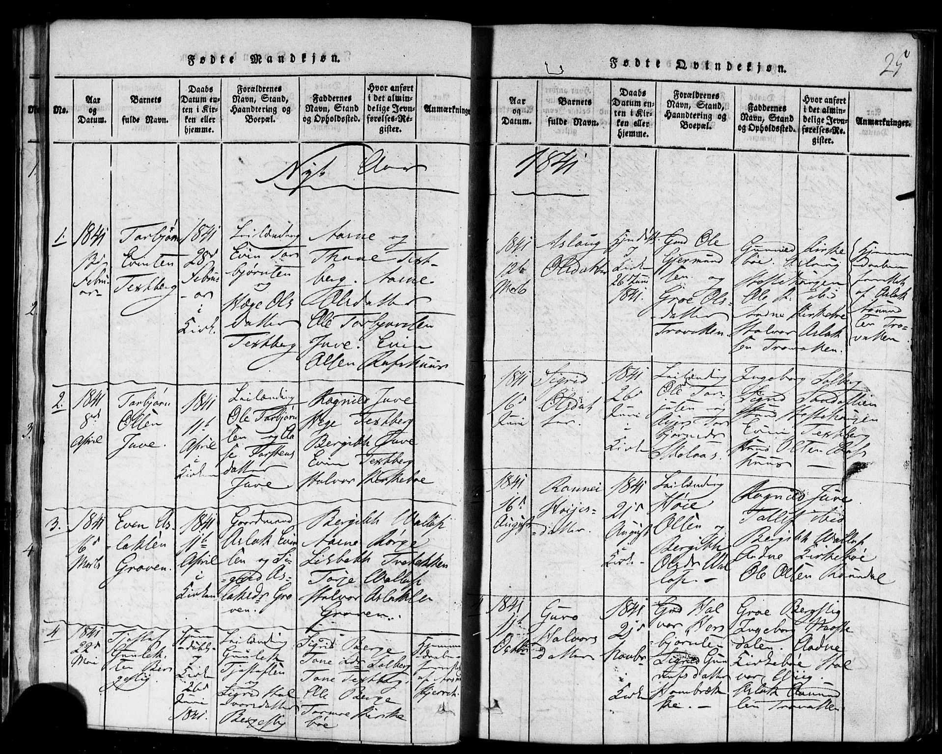 Rauland kirkebøker, SAKO/A-292/F/Fa/L0002: Parish register (official) no. 2, 1815-1860, p. 25