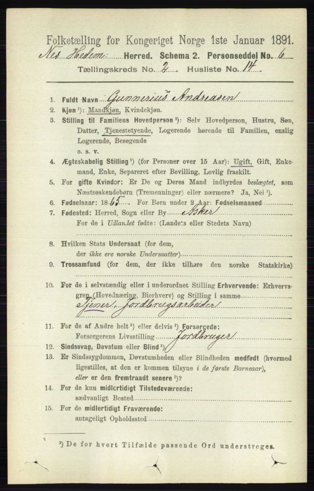 RA, 1891 census for 0411 Nes, 1891, p. 1156