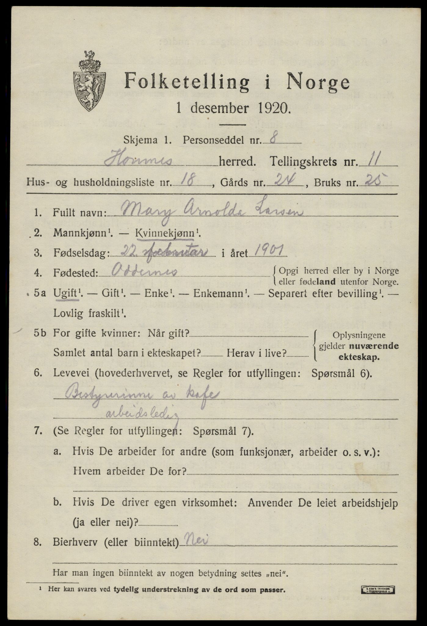 SAK, 1920 census for Hornnes, 1920, p. 2859