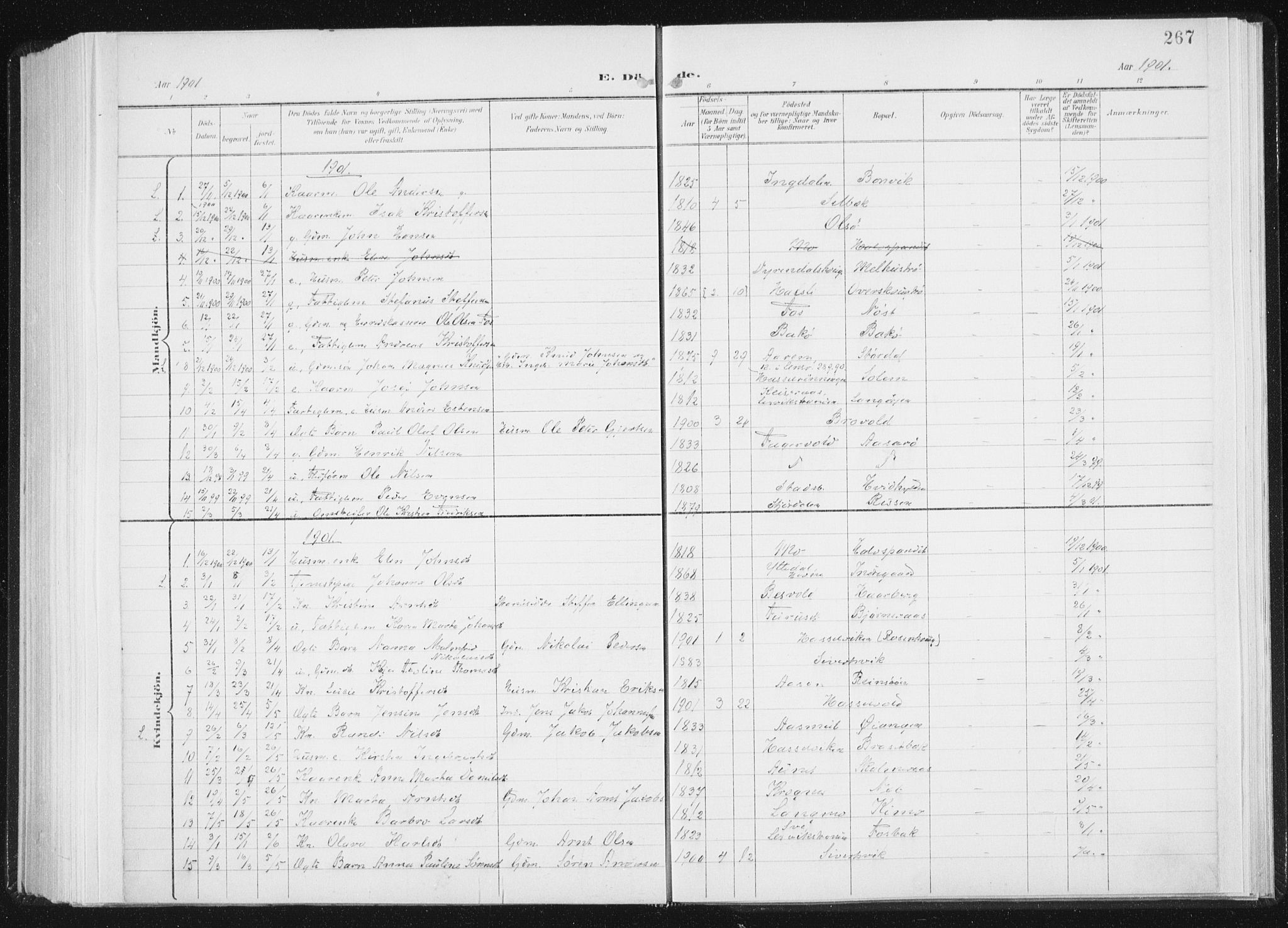 Ministerialprotokoller, klokkerbøker og fødselsregistre - Sør-Trøndelag, AV/SAT-A-1456/647/L0635: Parish register (official) no. 647A02, 1896-1911, p. 267