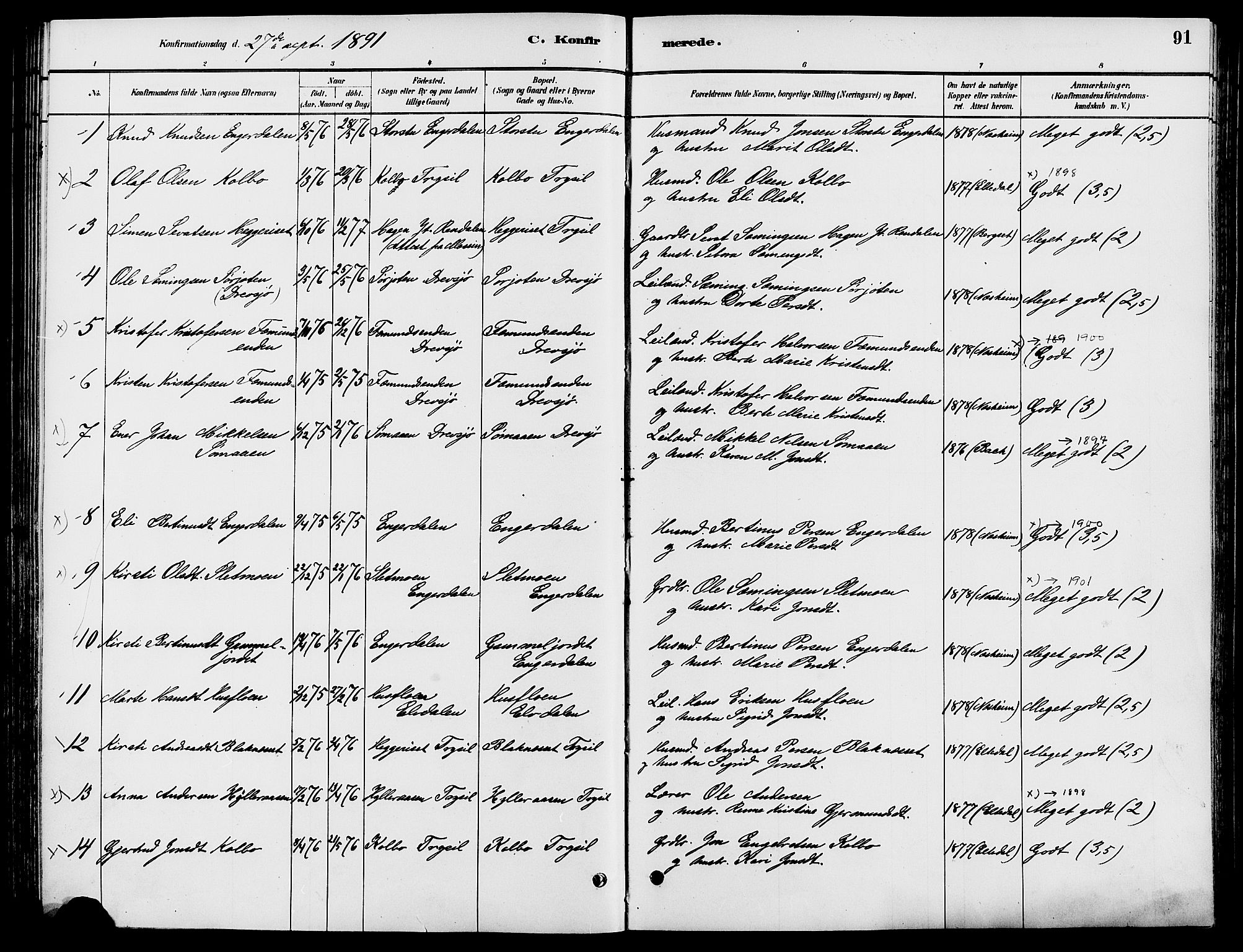 Engerdal prestekontor, AV/SAH-PREST-048/H/Ha/Haa/L0001: Parish register (official) no. 1, 1881-1898, p. 91