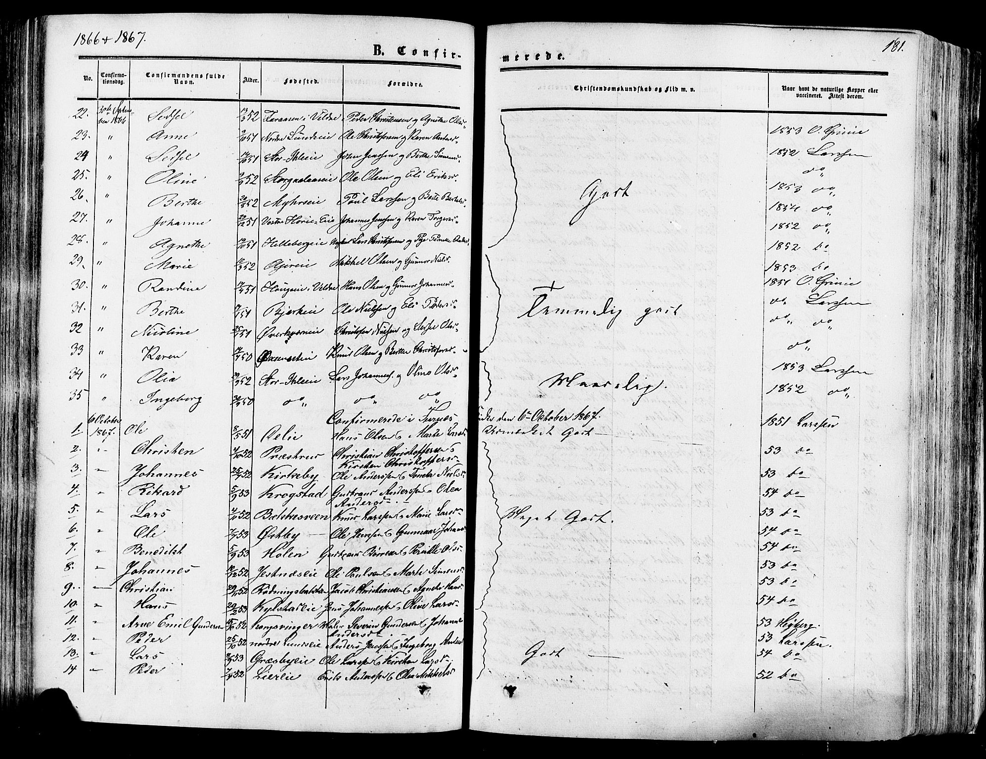 Vang prestekontor, Hedmark, SAH/PREST-008/H/Ha/Haa/L0013: Parish register (official) no. 13, 1855-1879, p. 181