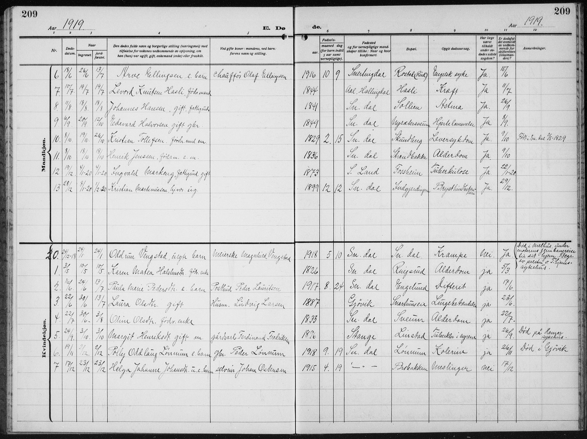 Biri prestekontor, SAH/PREST-096/H/Ha/Hab/L0007: Parish register (copy) no. 7, 1919-1941, p. 209