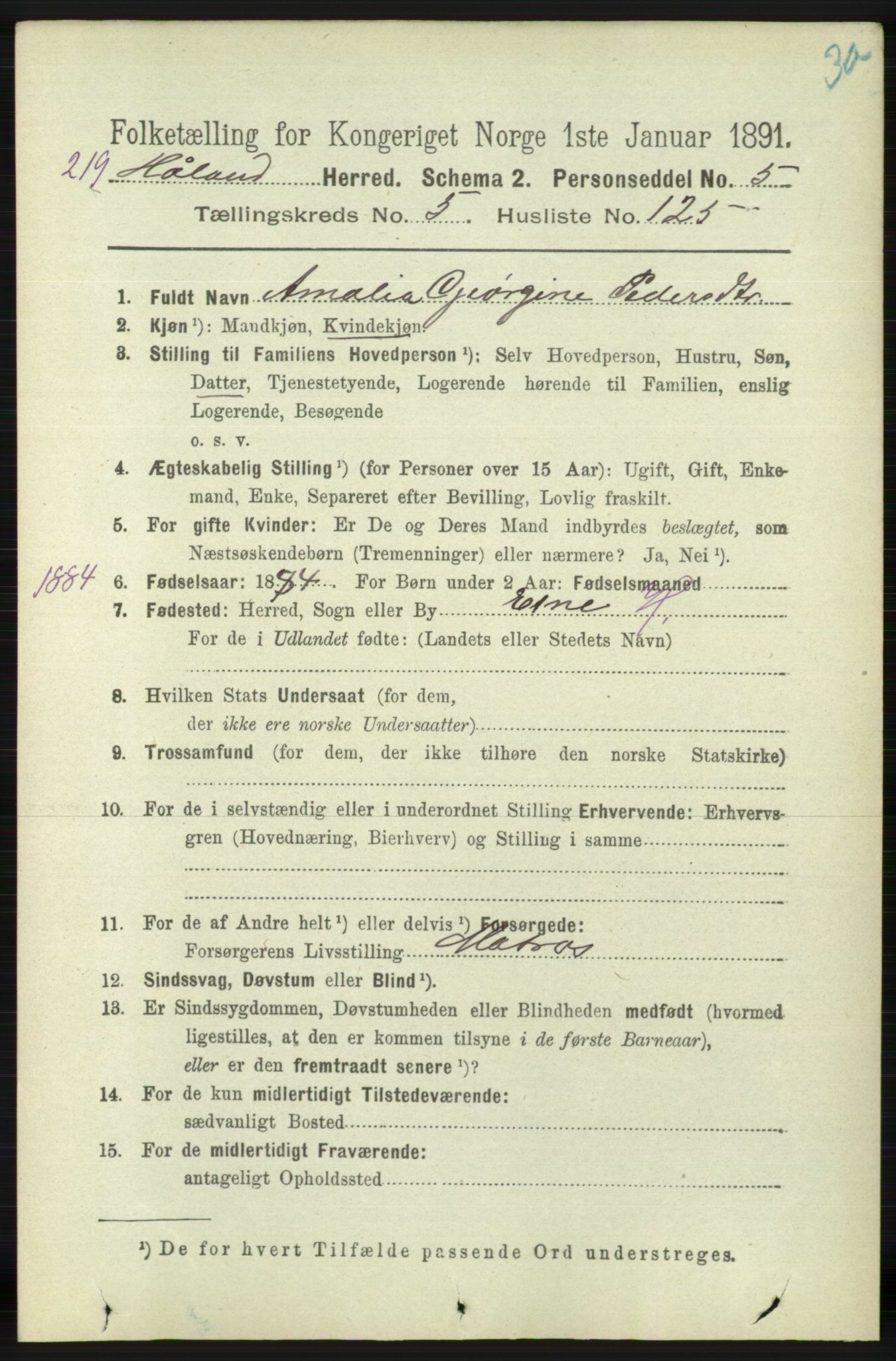 RA, 1891 census for 1124 Haaland, 1891, p. 4051