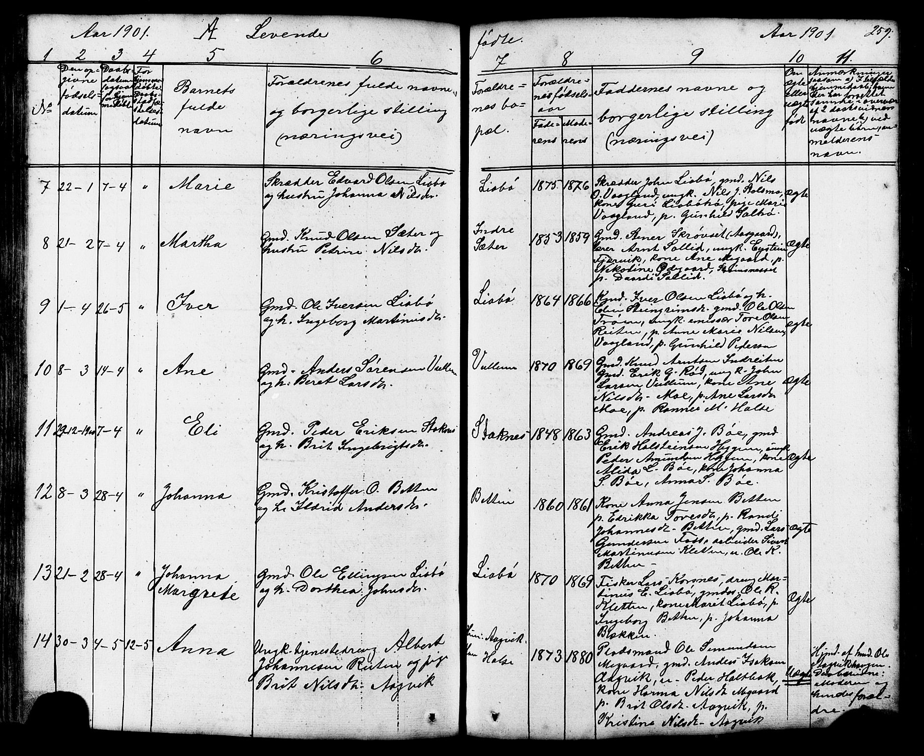 Ministerialprotokoller, klokkerbøker og fødselsregistre - Møre og Romsdal, AV/SAT-A-1454/576/L0890: Parish register (copy) no. 576C01, 1837-1908, p. 259