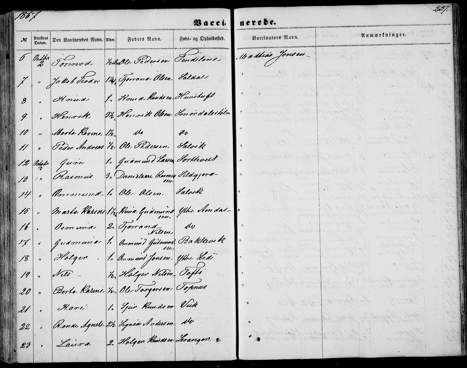 Nedstrand sokneprestkontor, AV/SAST-A-101841/01/IV: Parish register (official) no. A 9, 1861-1876, p. 237