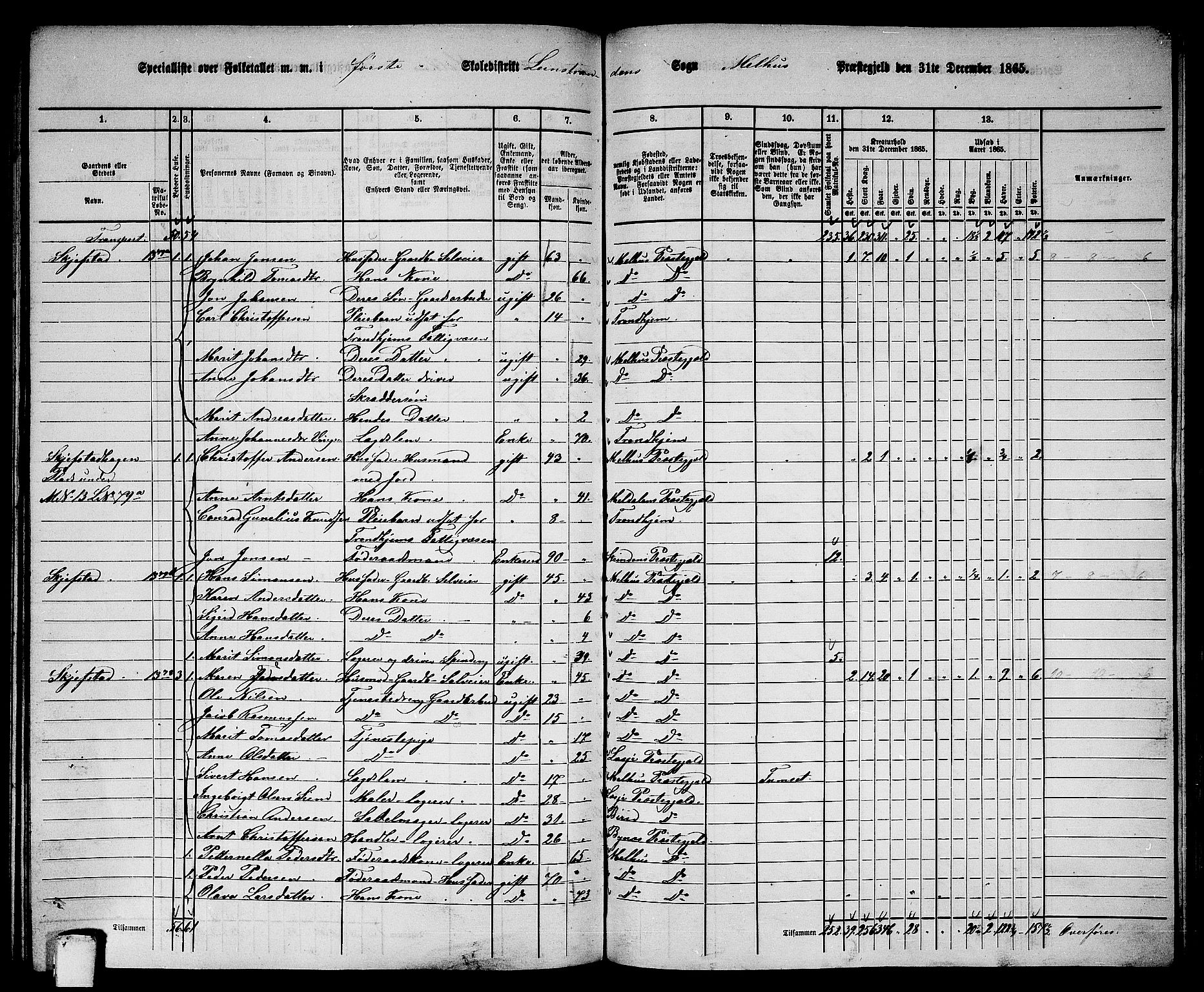 RA, 1865 census for Melhus, 1865, p. 209