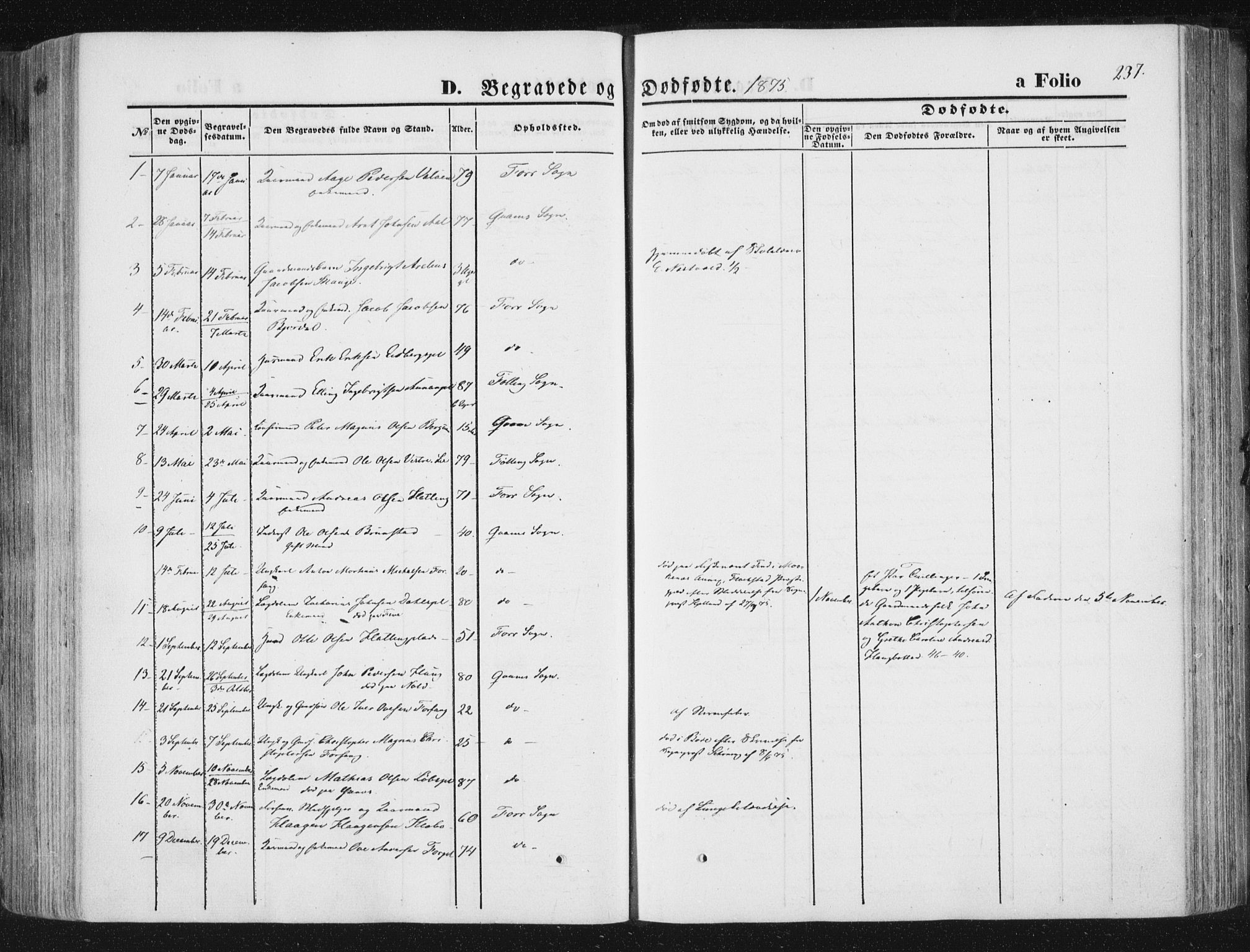 Ministerialprotokoller, klokkerbøker og fødselsregistre - Nord-Trøndelag, AV/SAT-A-1458/746/L0447: Parish register (official) no. 746A06, 1860-1877, p. 237