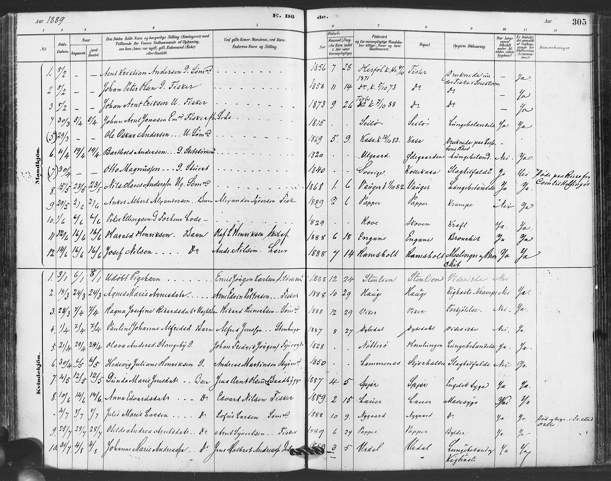 Hvaler prestekontor Kirkebøker, AV/SAO-A-2001/F/Fa/L0008: Parish register (official) no. I 8, 1878-1895, p. 305